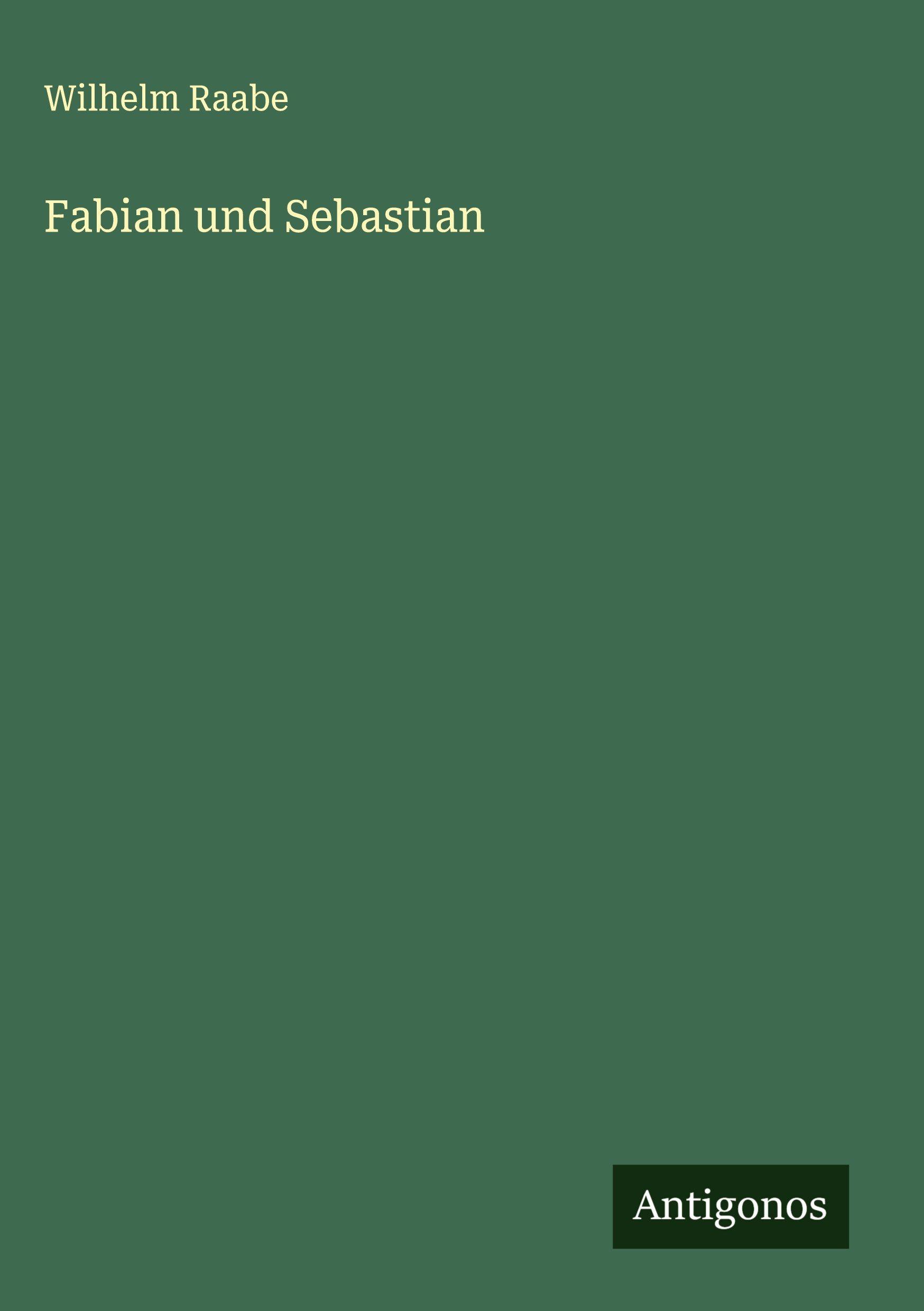 Vorderes Coverbild Fabian und Sebastian