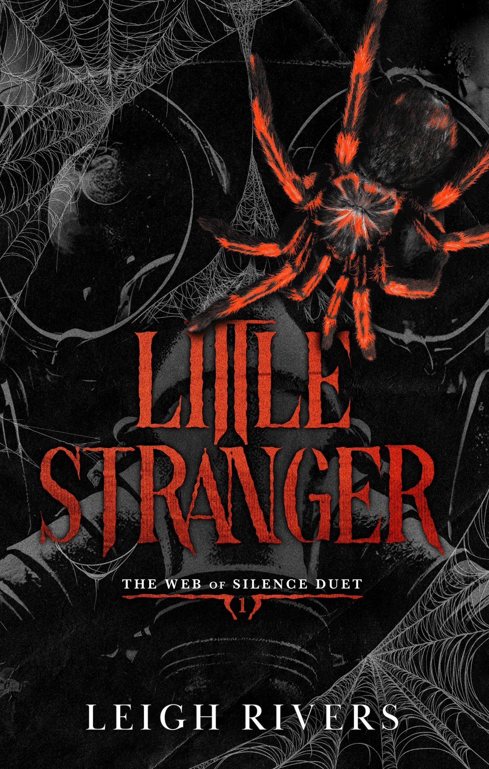 Vorderes Coverbild Little Stranger