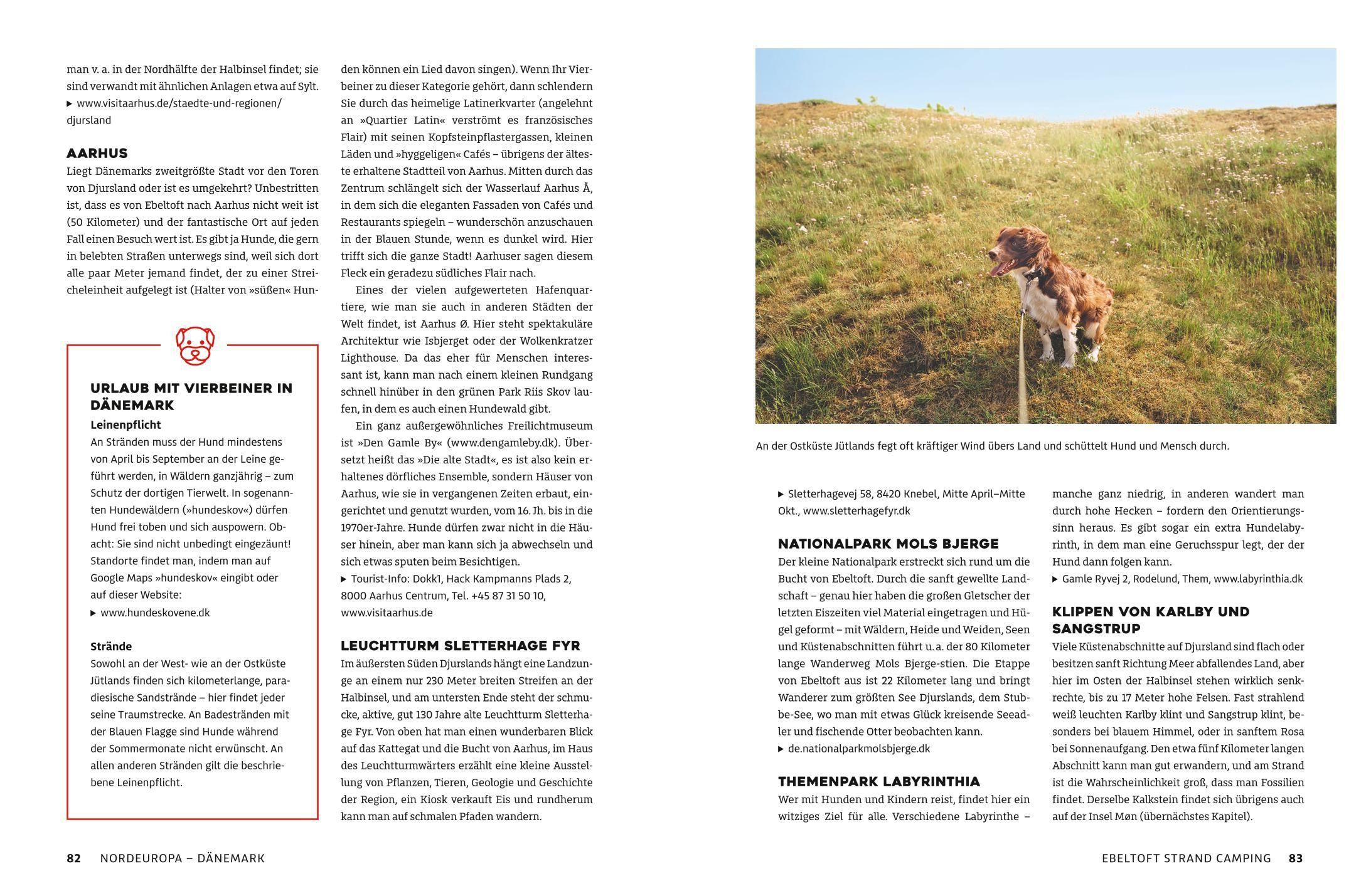 Beispielinhalt (Bild) Yes we camp! Camping mit Hund am Wasser