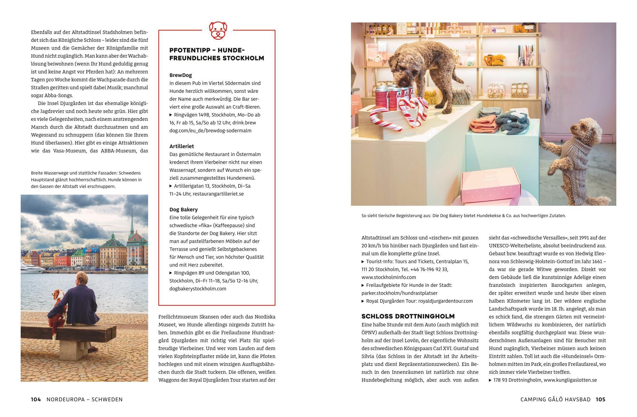 Beispielinhalt (Bild) Yes we camp! Camping mit Hund am Wasser