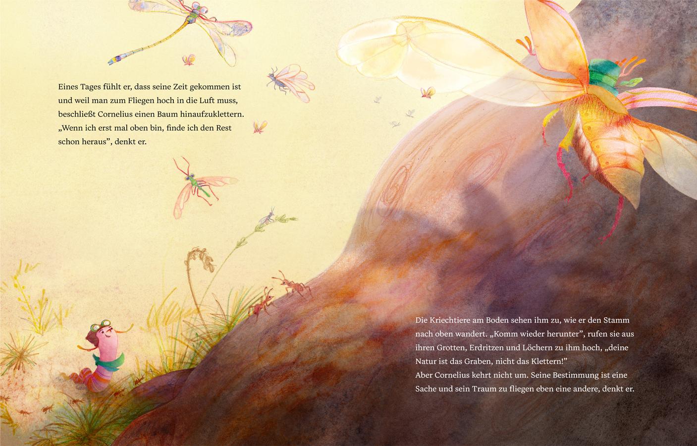 Beispielinhalt (Bild) Cornelius will fliegen