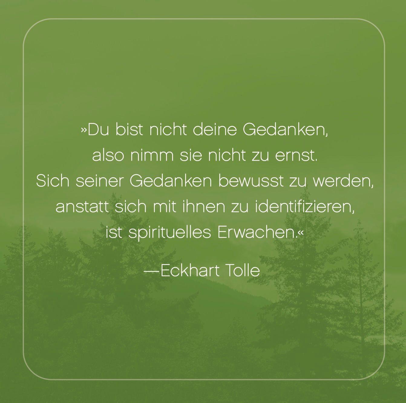 Beispielinhalt (Bild) Die Jetzt-Box