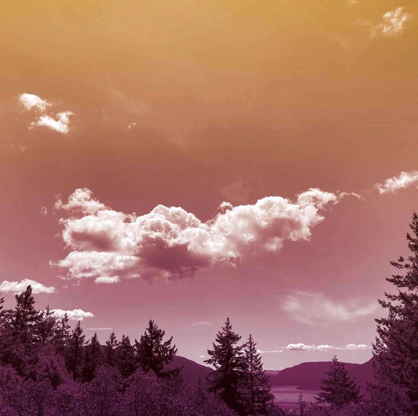 Beispielinhalt (Bild) Die Jetzt-Box