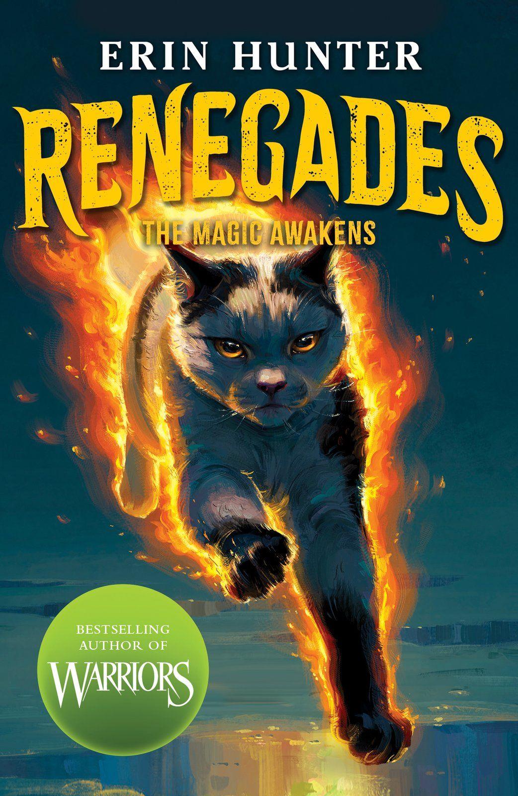 Vorderes Coverbild Renegades: The Magic Awakens
