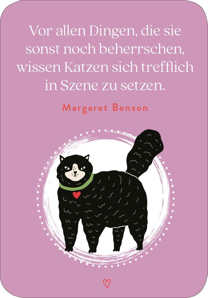 Beispielinhalt (Bild) MIEZNachrichten für jede Lebenslage