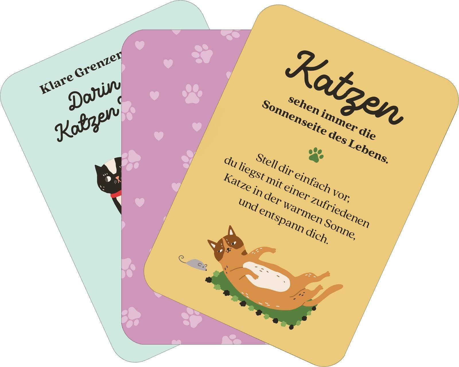 Beispielinhalt (Bild) MIEZNachrichten für jede Lebenslage