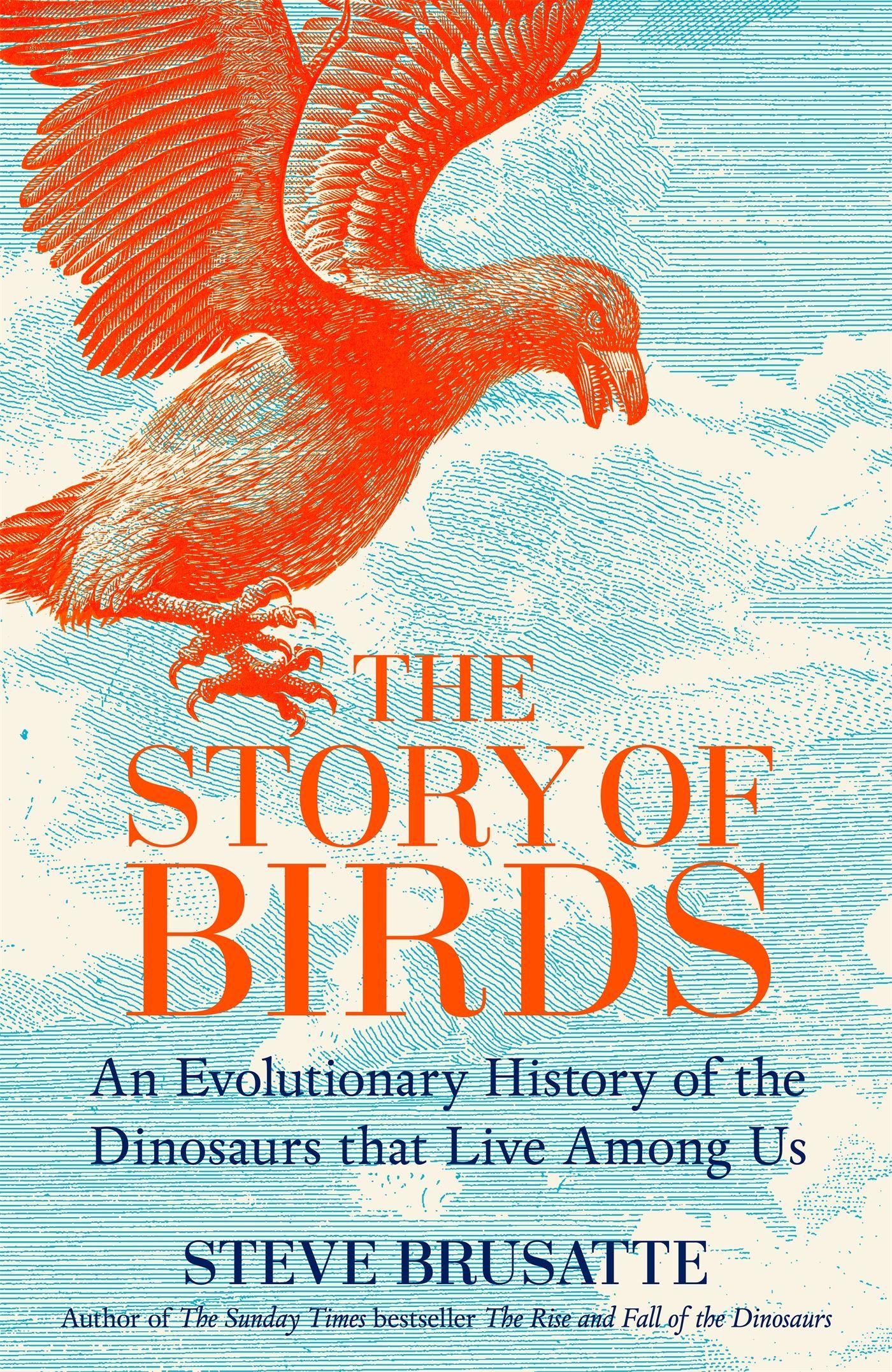 Vorderes Coverbild The Story of Birds