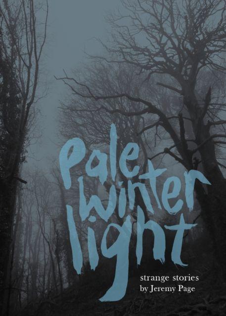 Vorderes Coverbild Pale Winter Light