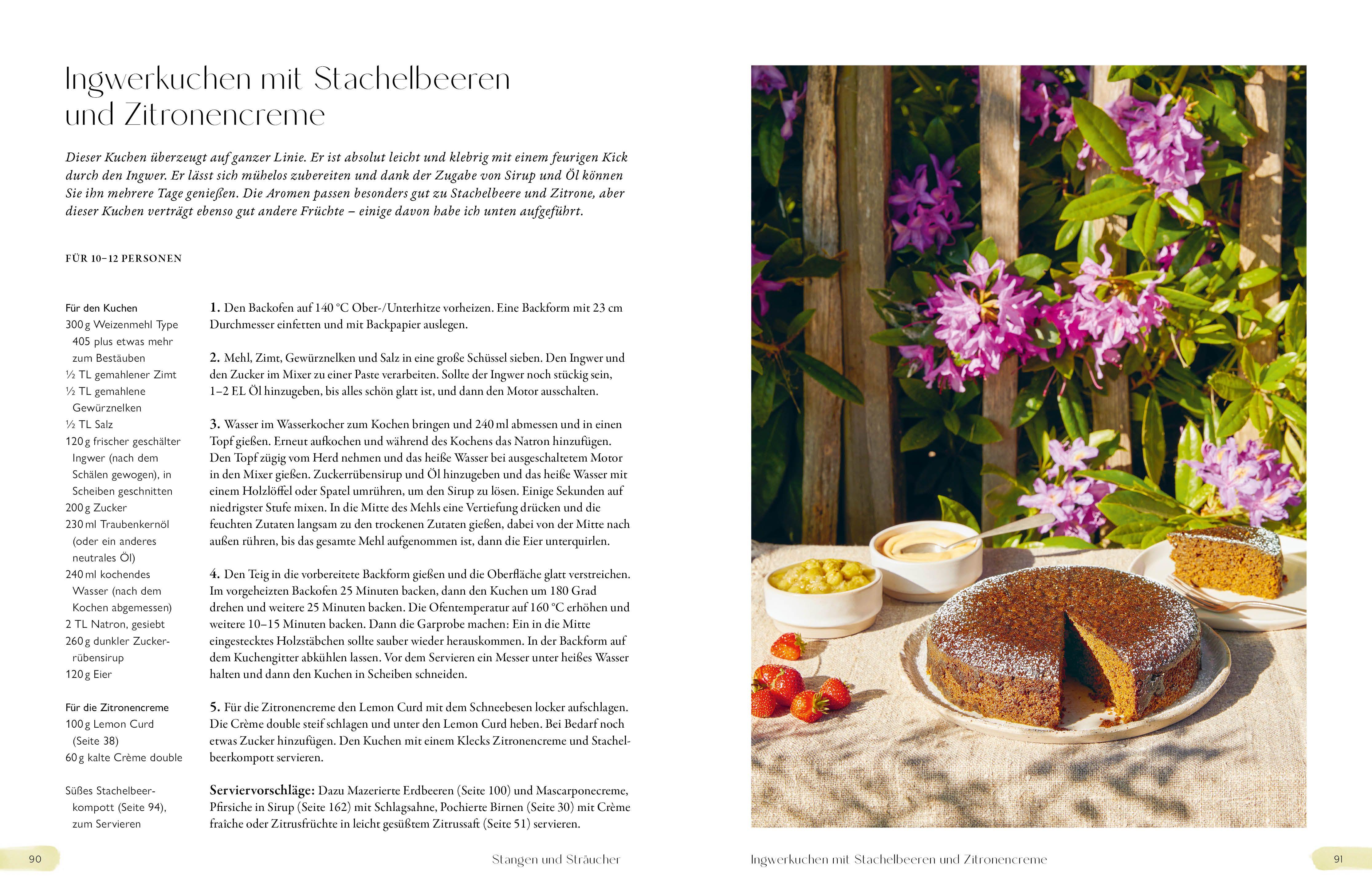 Beispielinhalt (Bild) Kirschen, Quitten und Zitronen