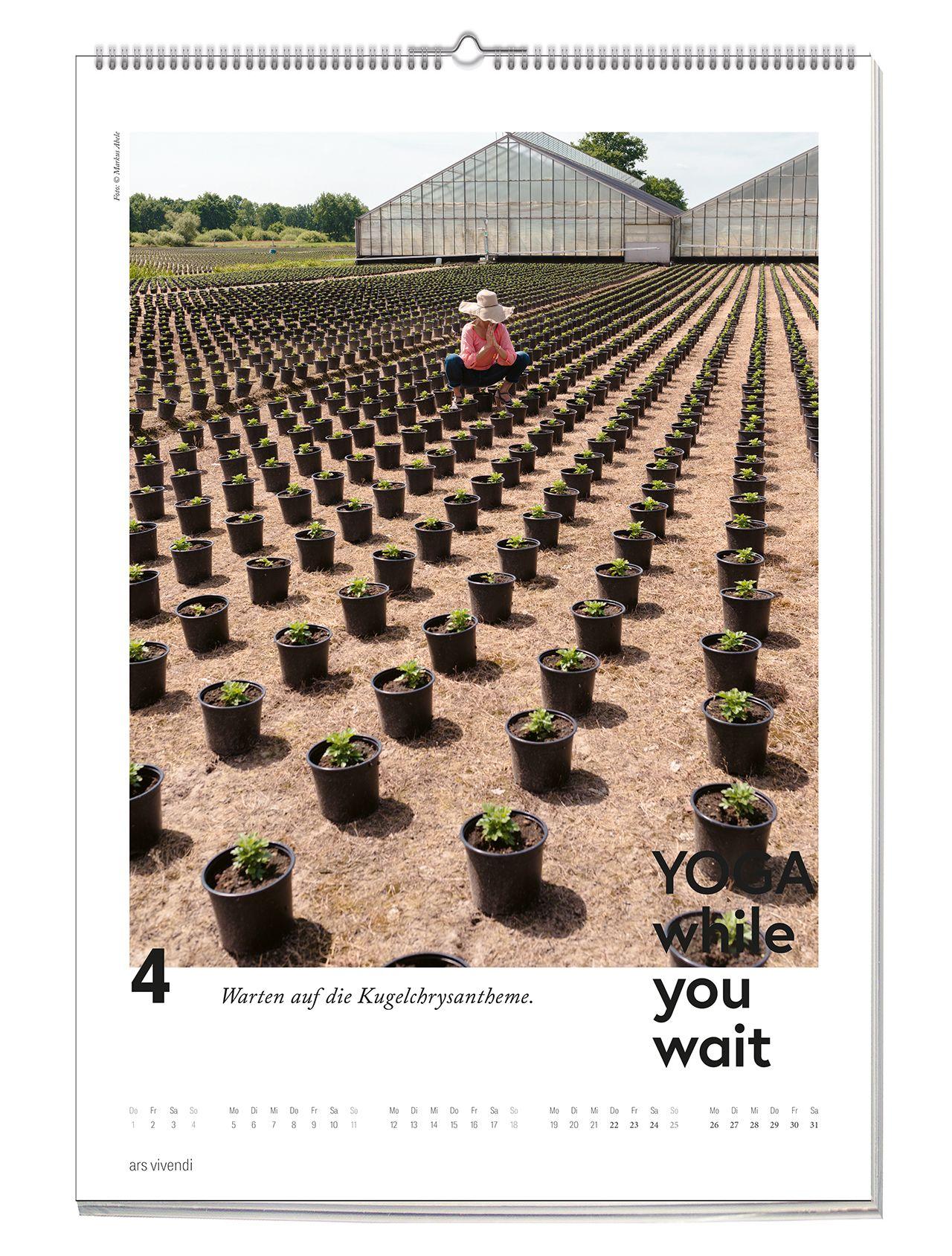 Beispielinhalt (Bild) Yoga while you wait 2027