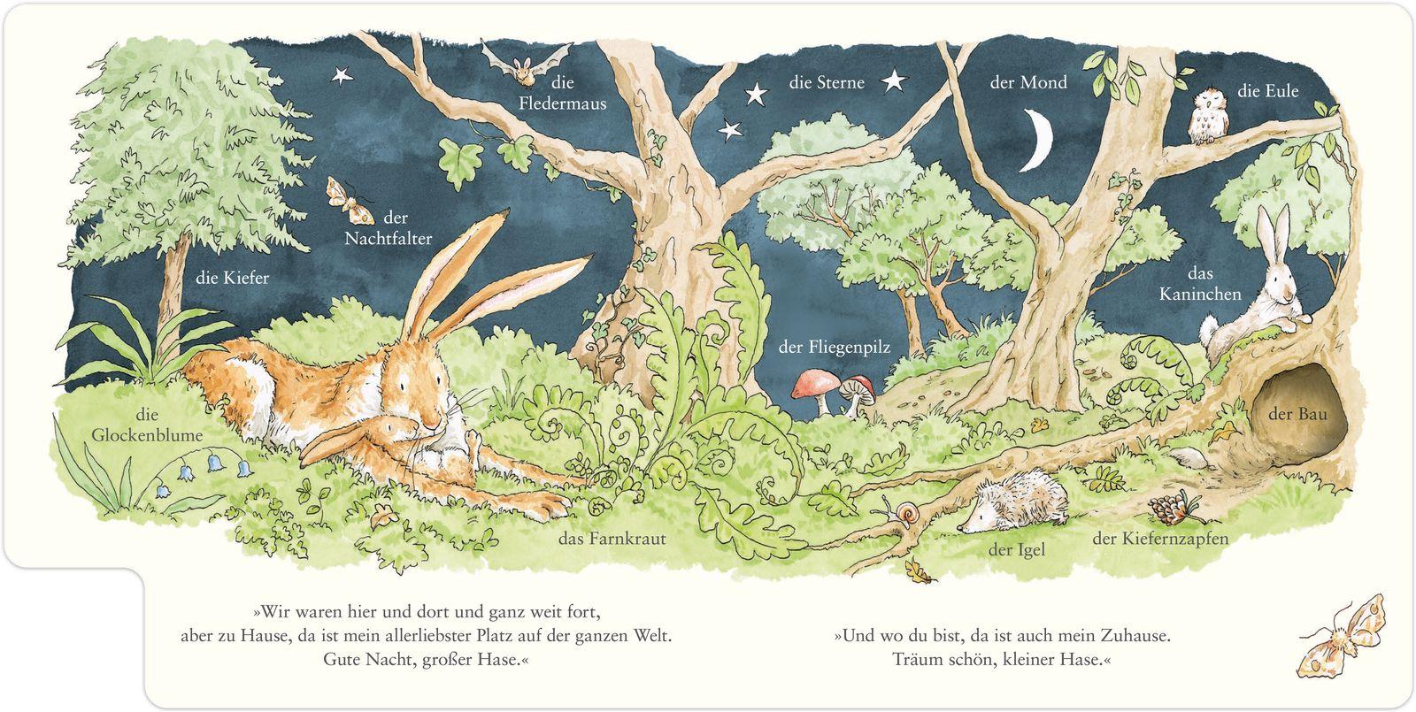 Beispielinhalt (Bild) Weißt du eigentlich, wie lieb ich dich hab? Wir entdecken die Natur