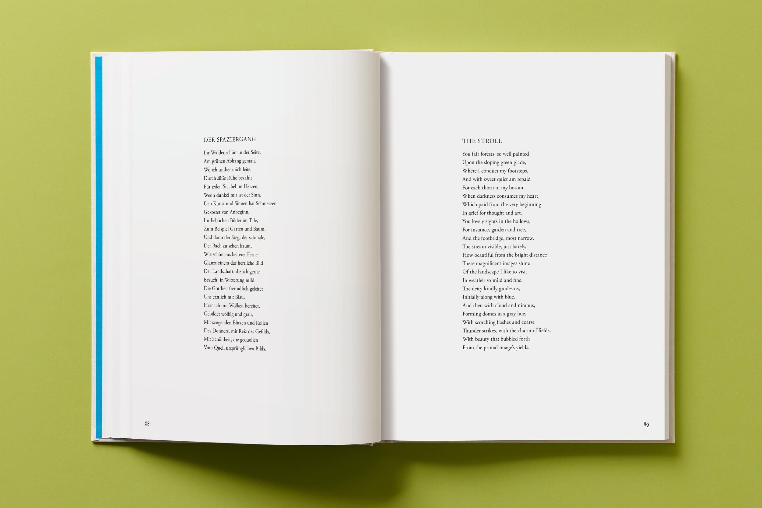 Beispielinhalt (Bild) André Butzer. Friedrich Hölderlin. Die Jahreszeiten / The Seasons