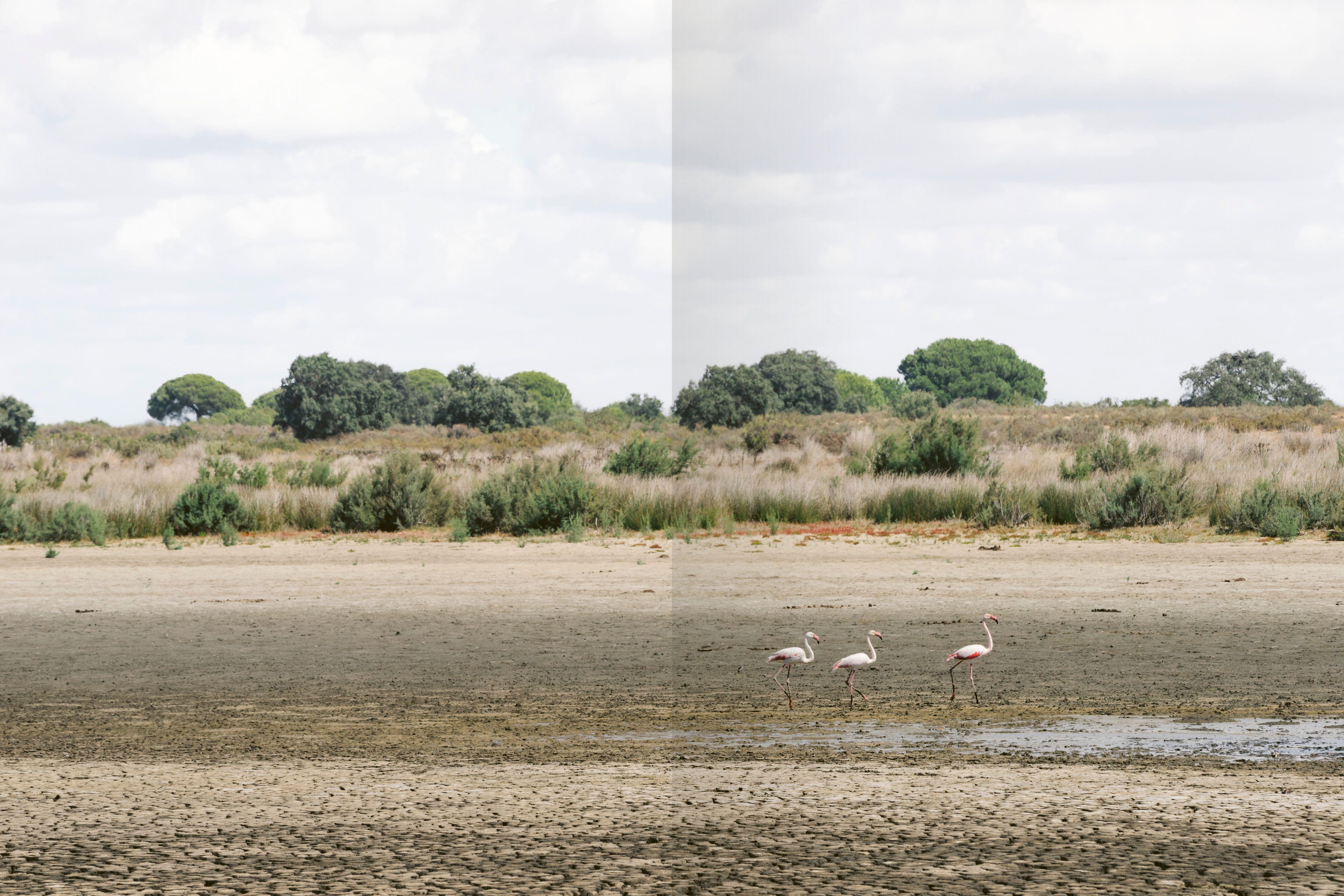 Beispielinhalt (Bild) Tierra sin Agua