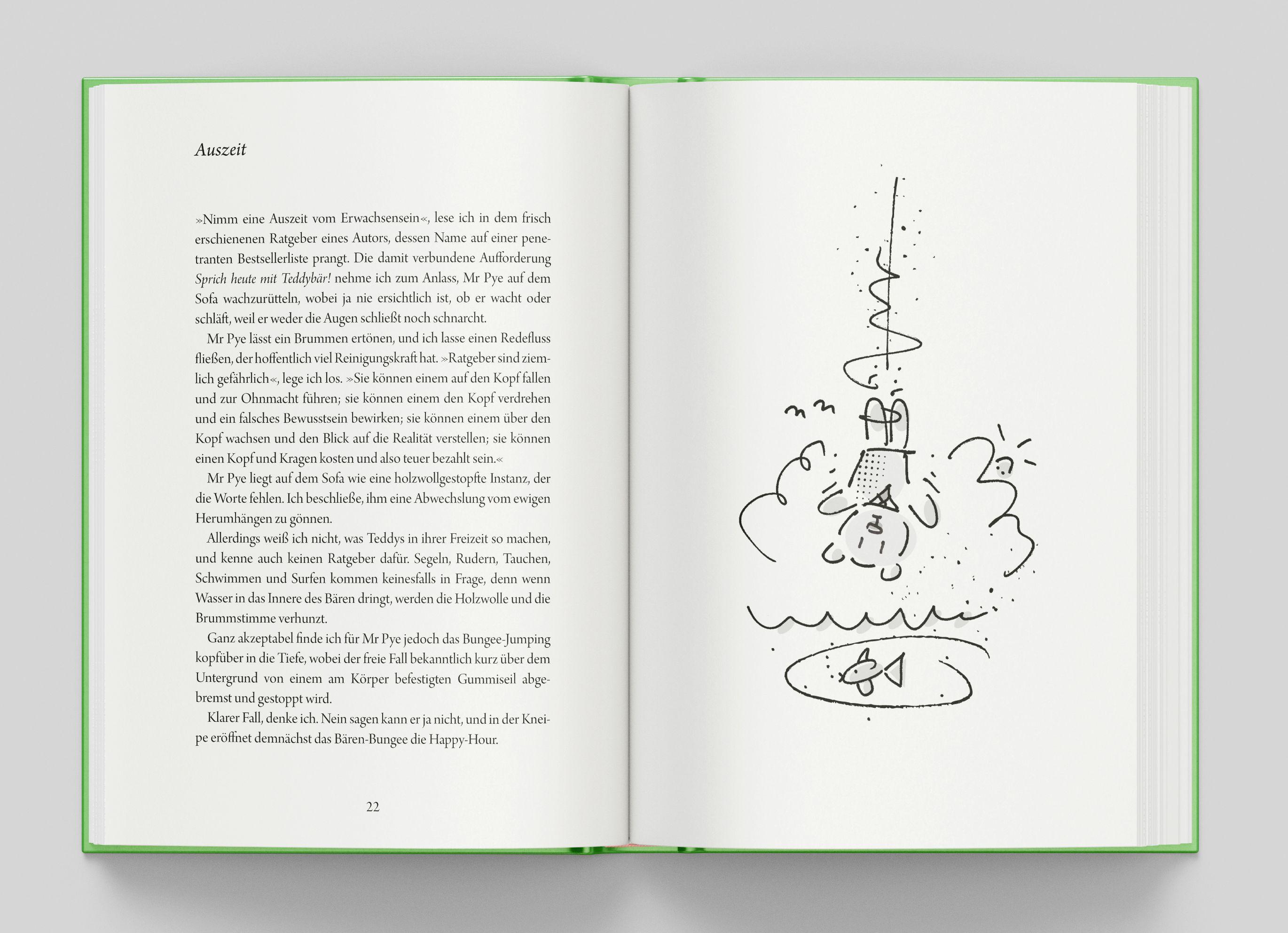 Beispielinhalt (Bild) Mr Pye