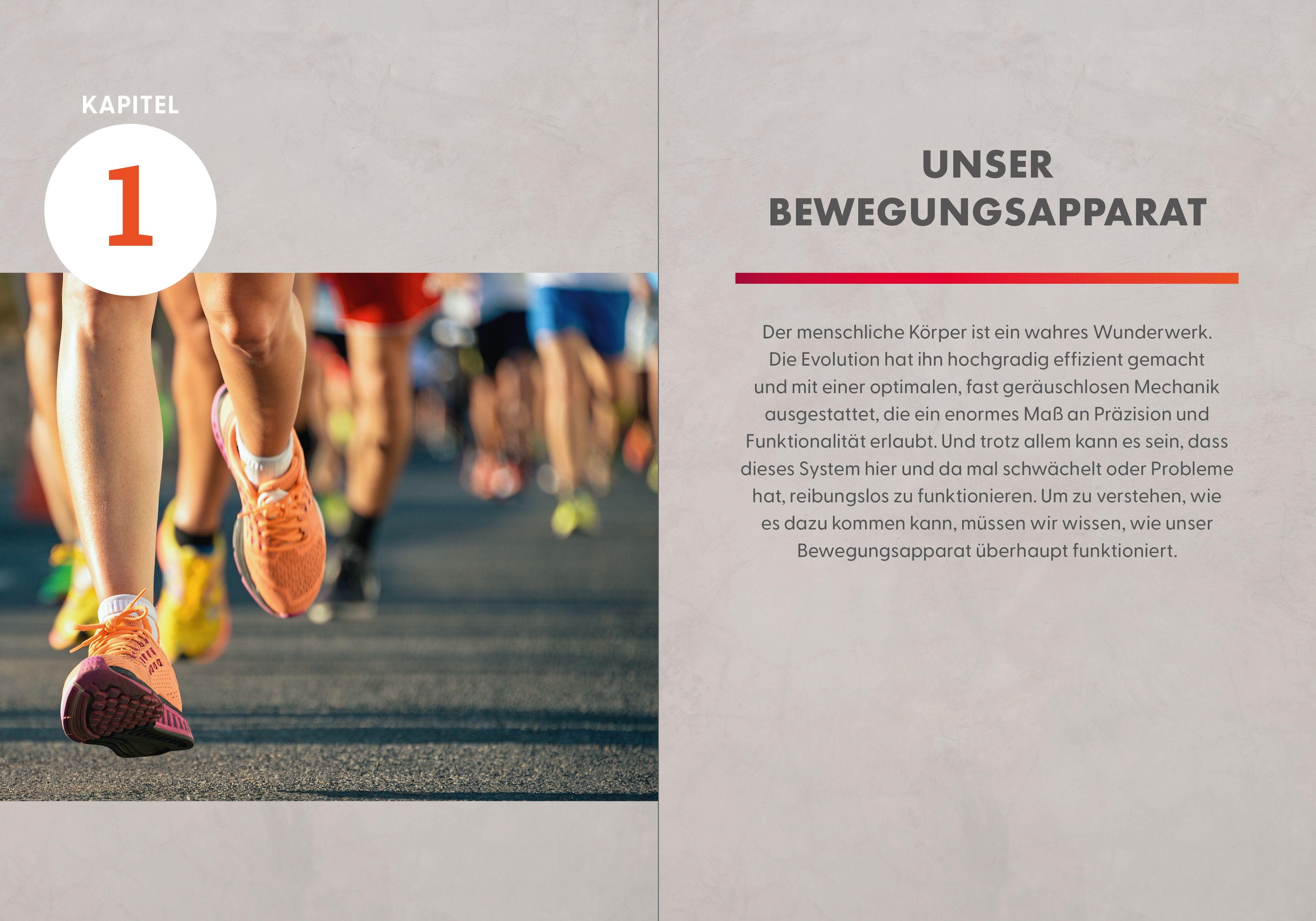 Beispielinhalt (Bild) Die Faszienlüge