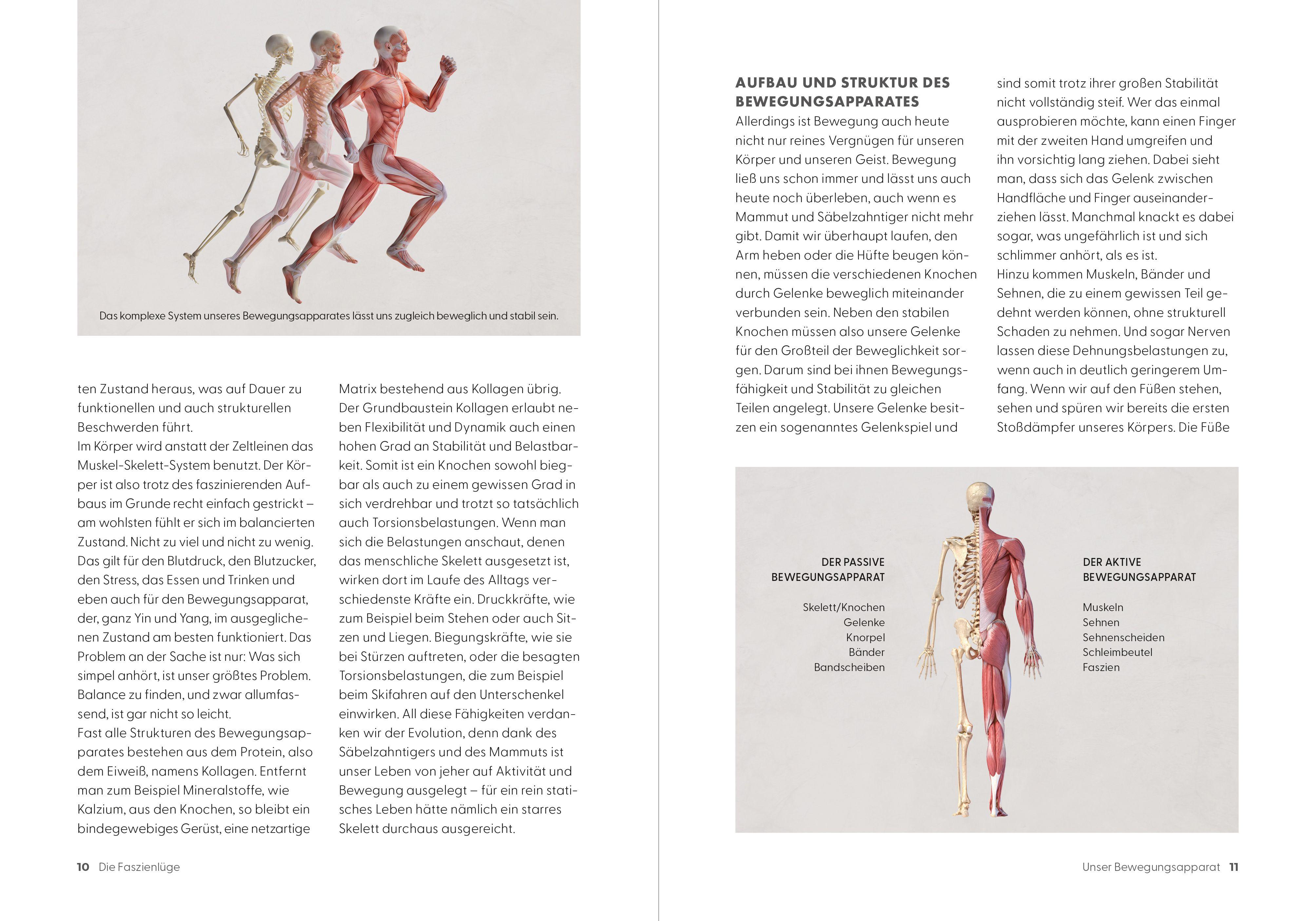 Beispielinhalt (Bild) Die Faszienlüge