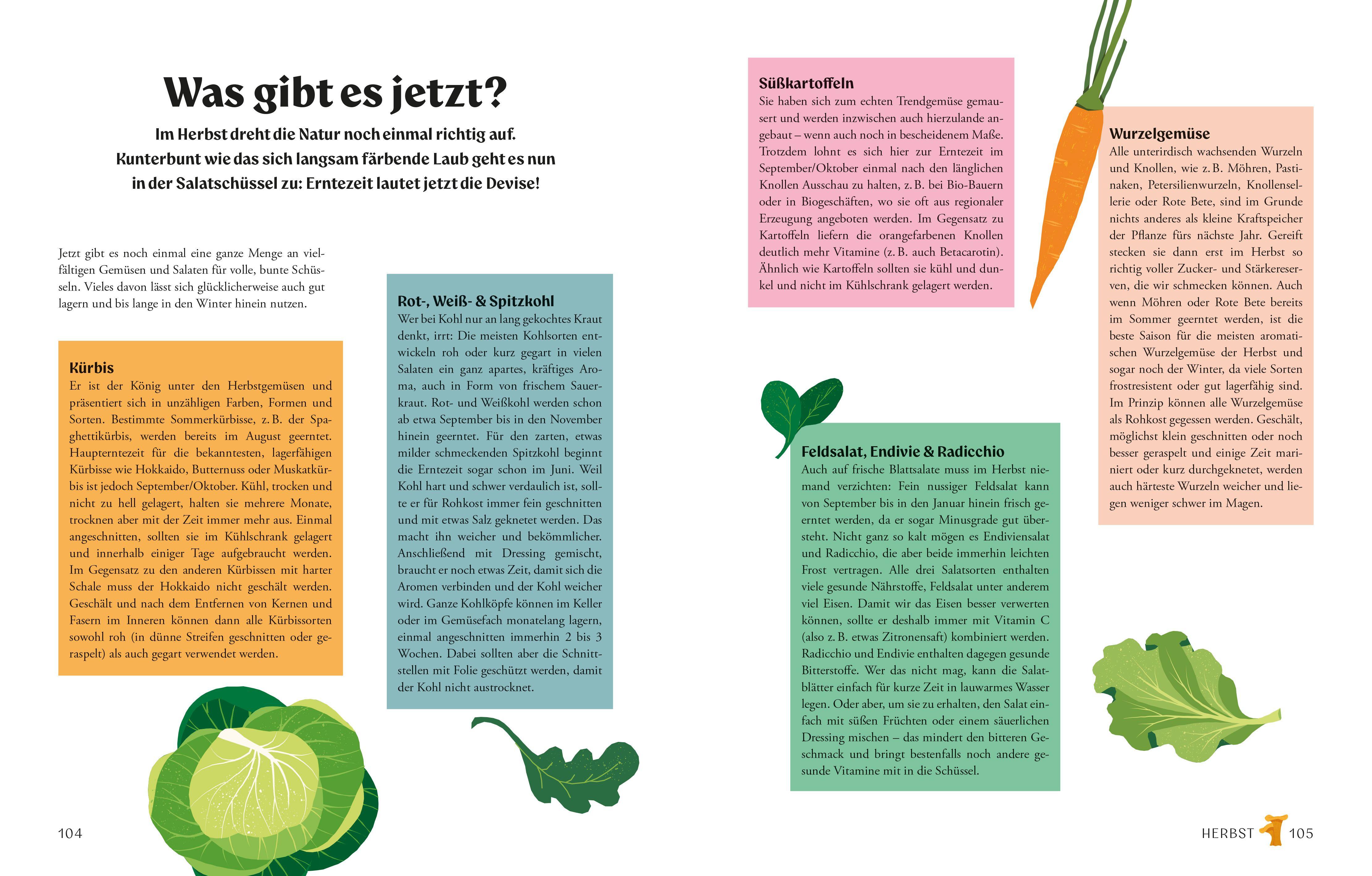 Beispielinhalt (Bild) Salate