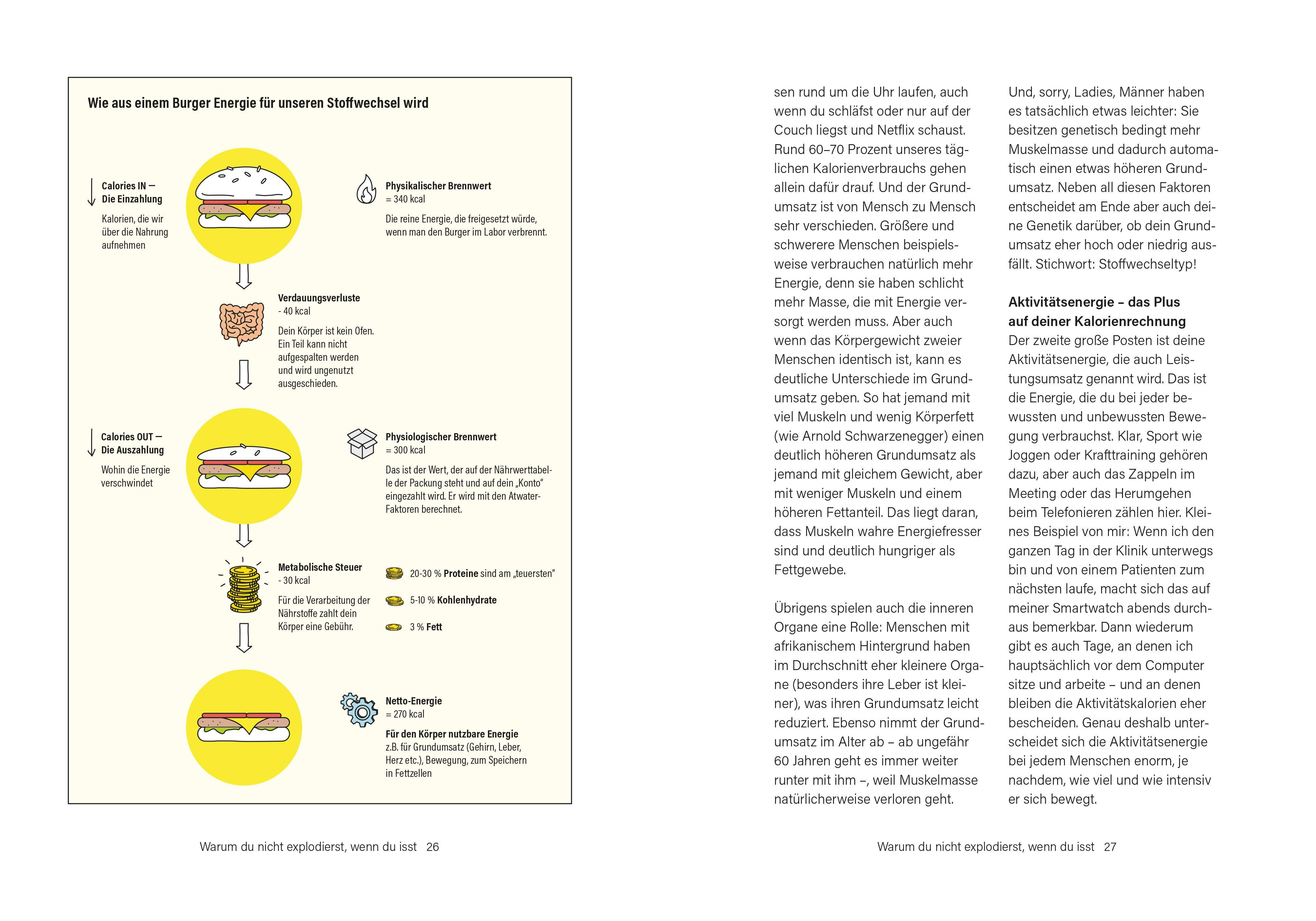 Beispielinhalt (Bild) Das Kuchen-Paradox