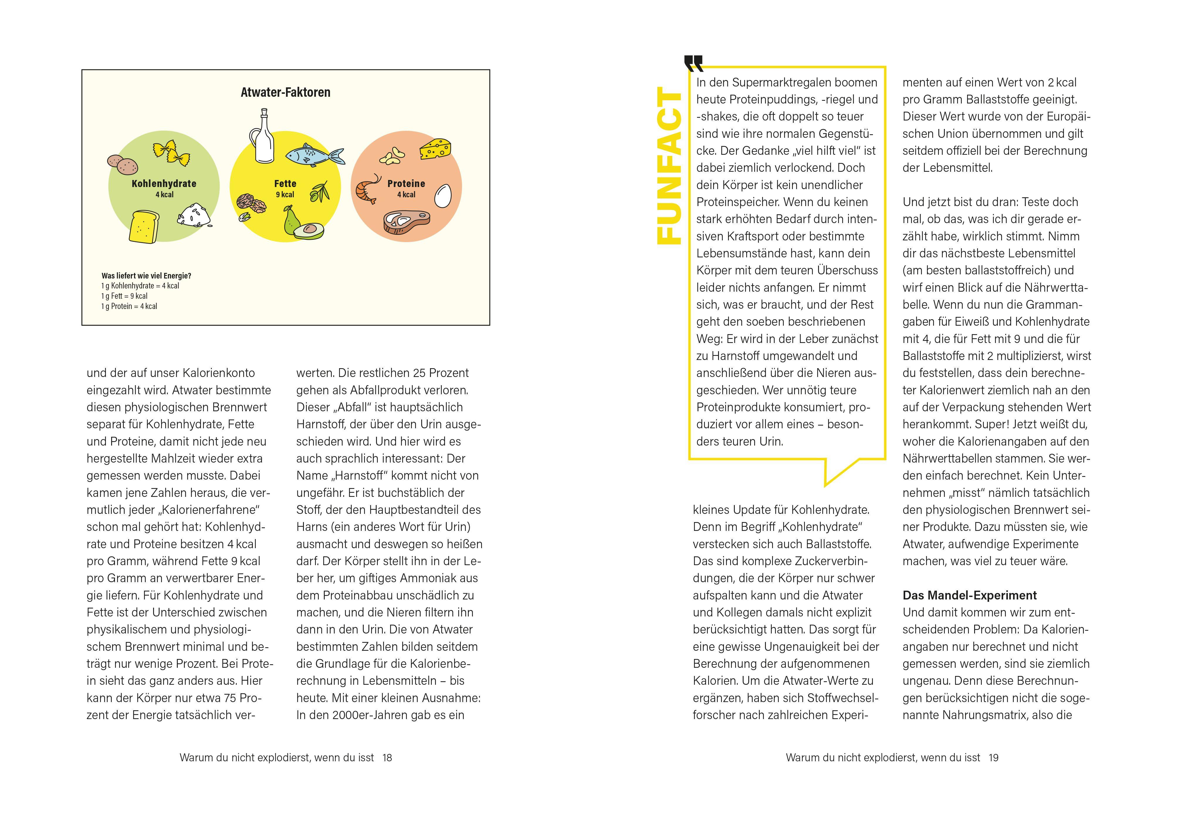 Beispielinhalt (Bild) Das Kuchen-Paradox