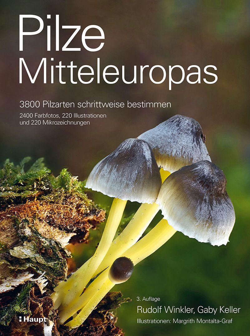Vorderes Coverbild Pilze Mitteleuropas