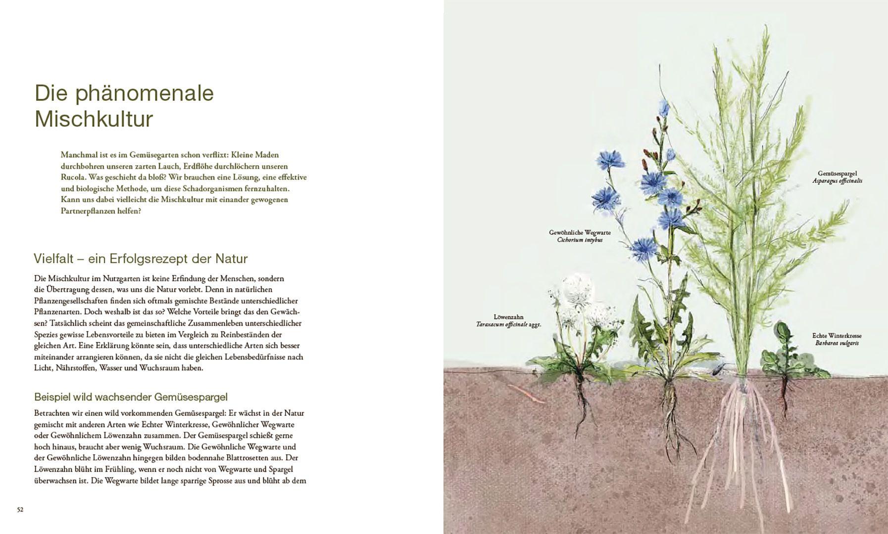 Beispielinhalt (Bild) Von Pflanzen, die sich mögen, und Tieren, die uns helfen