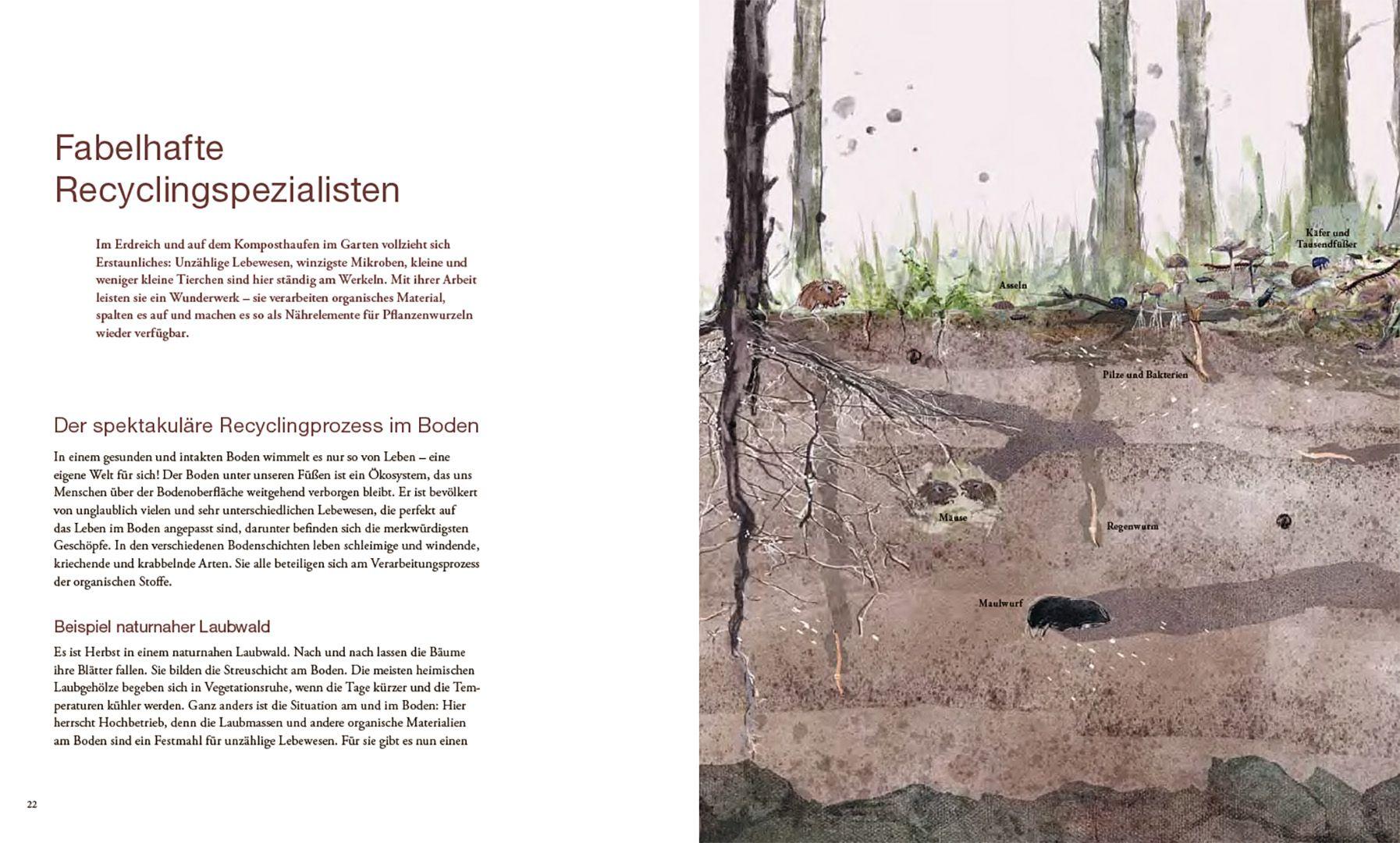 Beispielinhalt (Bild) Von Pflanzen, die sich mögen, und Tieren, die uns helfen