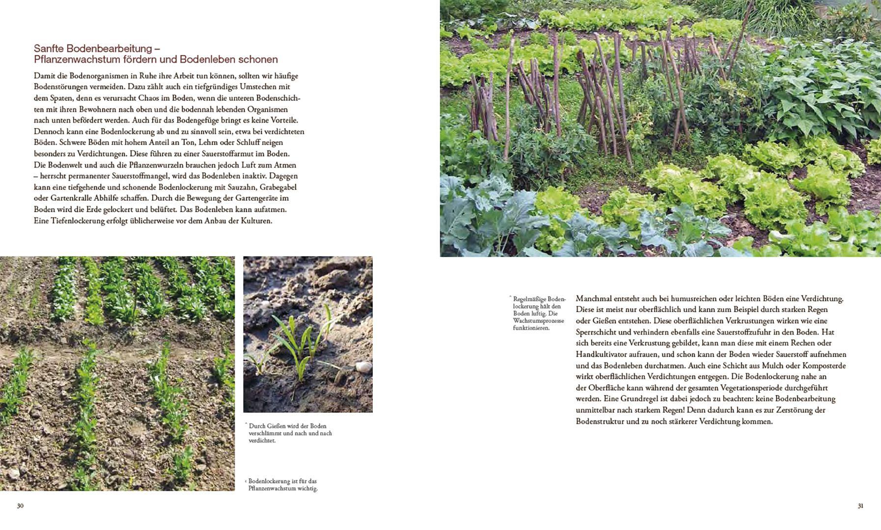 Beispielinhalt (Bild) Von Pflanzen, die sich mögen, und Tieren, die uns helfen