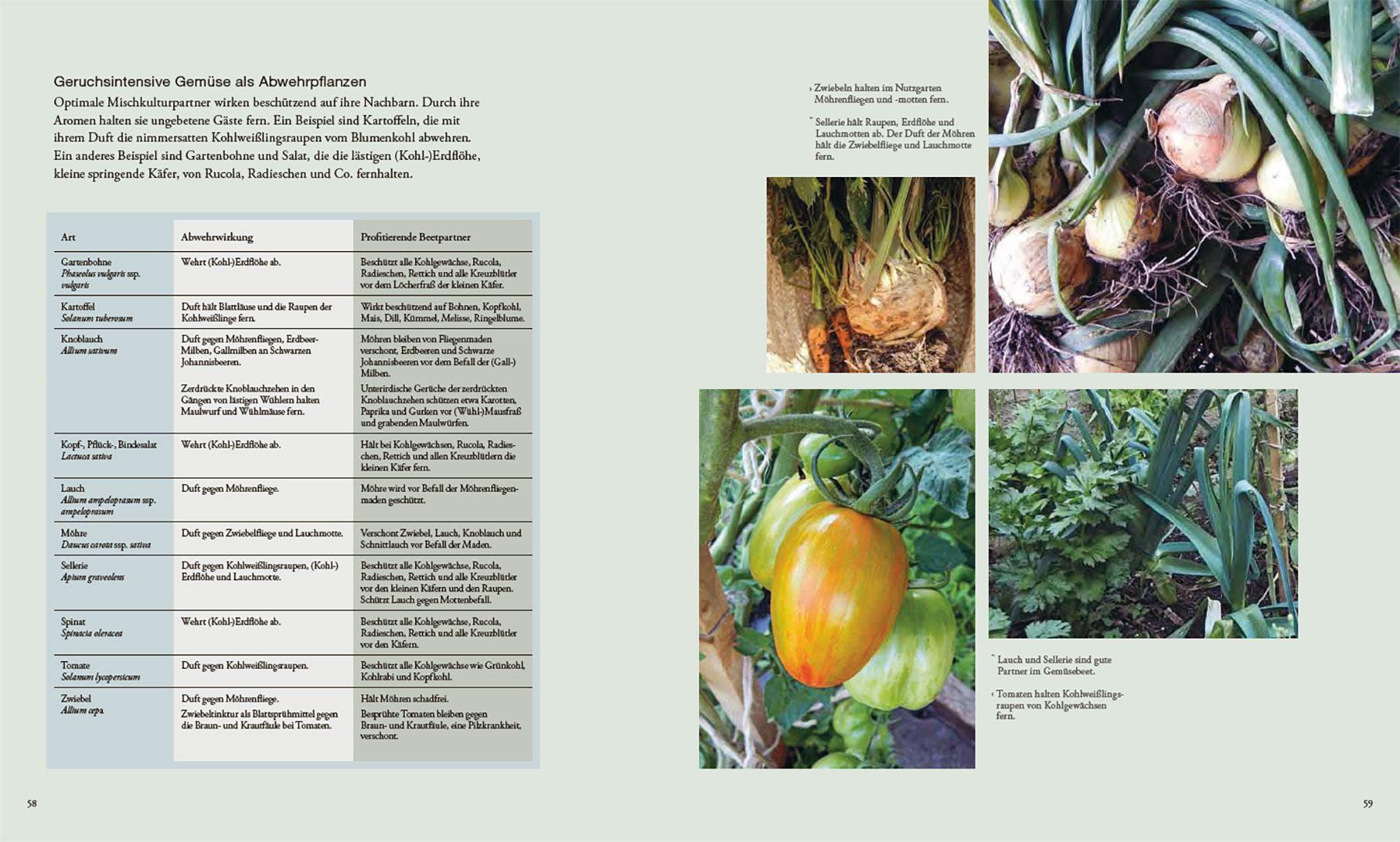 Beispielinhalt (Bild) Von Pflanzen, die sich mögen, und Tieren, die uns helfen