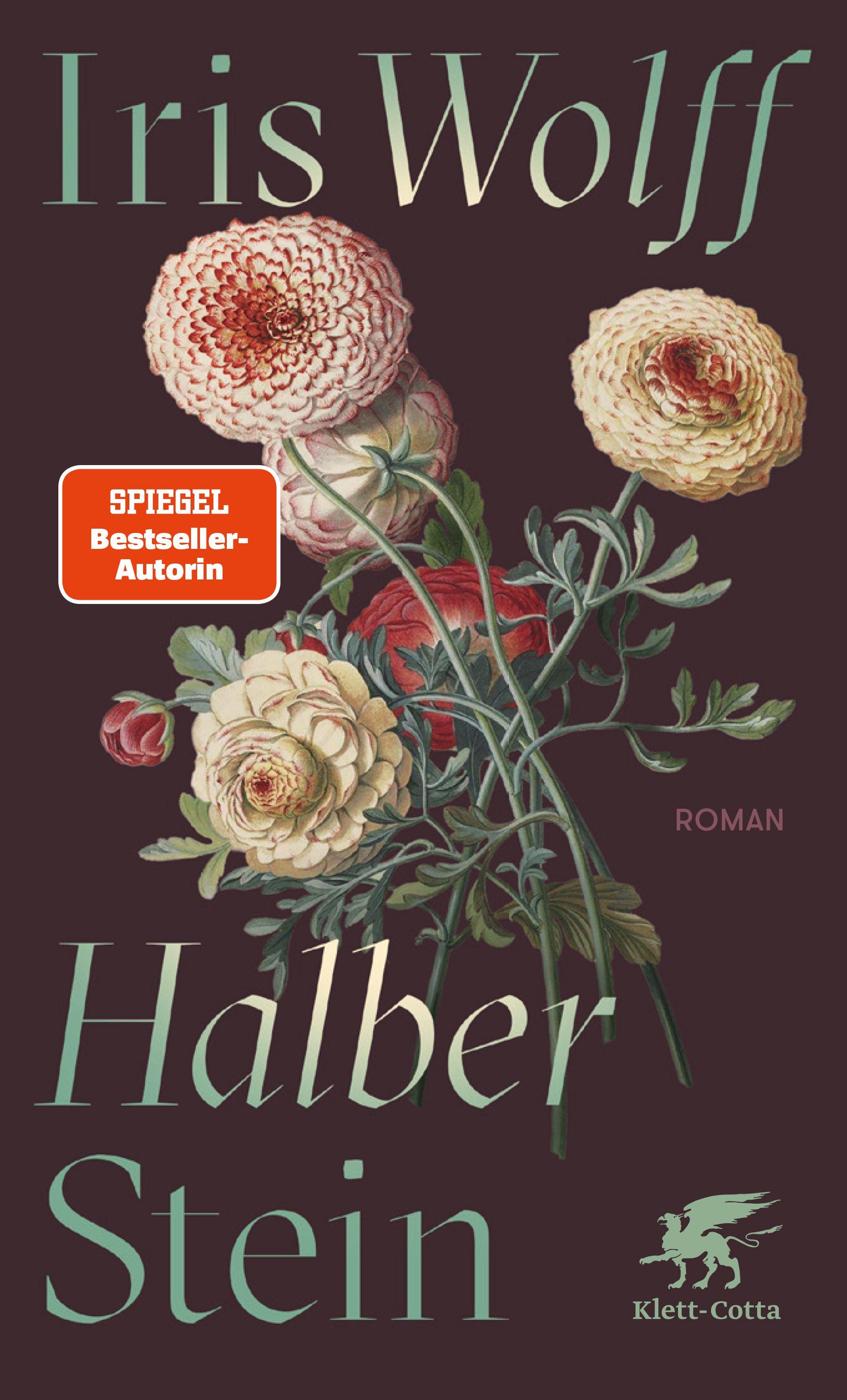 Vorderes Coverbild Halber Stein