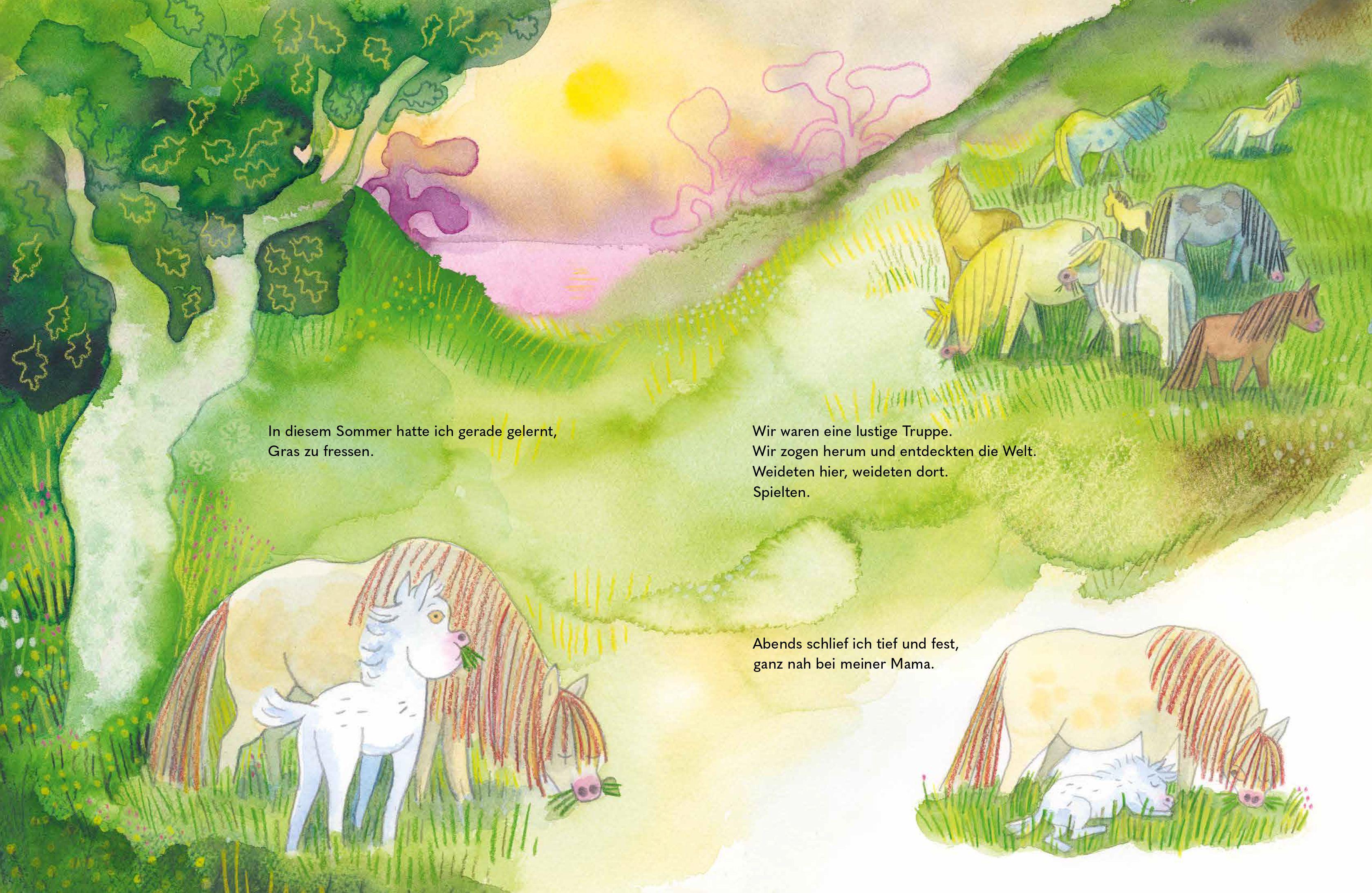 Beispielinhalt (Bild) Wild - Ein kleines Pferd braucht Freiheit