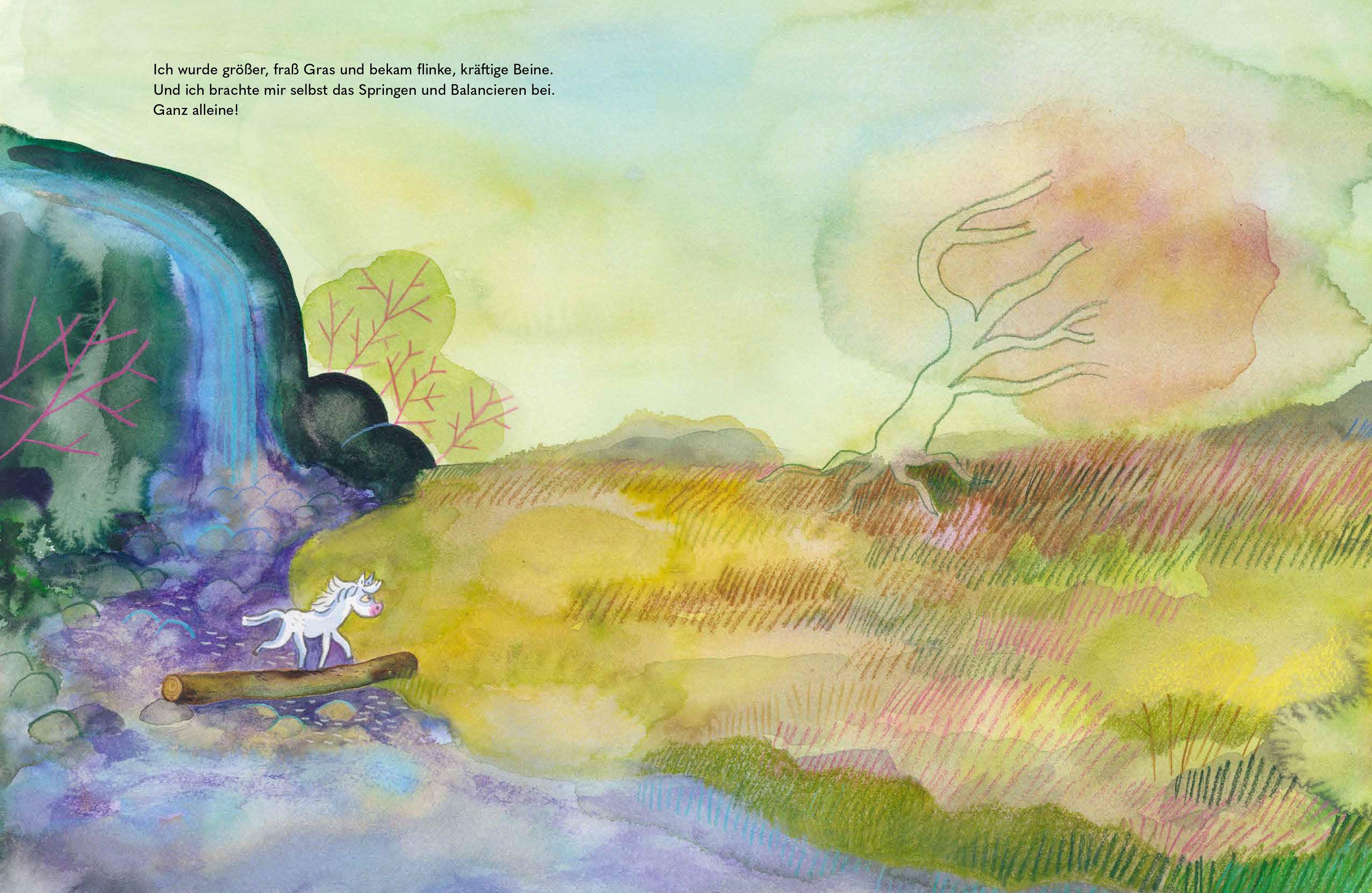 Beispielinhalt (Bild) Wild - Ein kleines Pferd braucht Freiheit