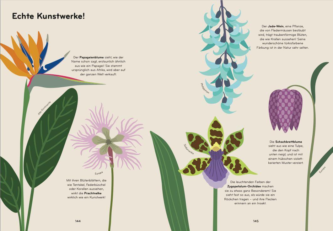 Beispielinhalt (Bild) Florama