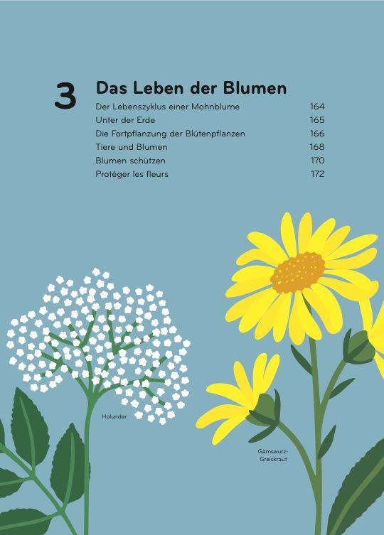 Beispielinhalt (Bild) Florama