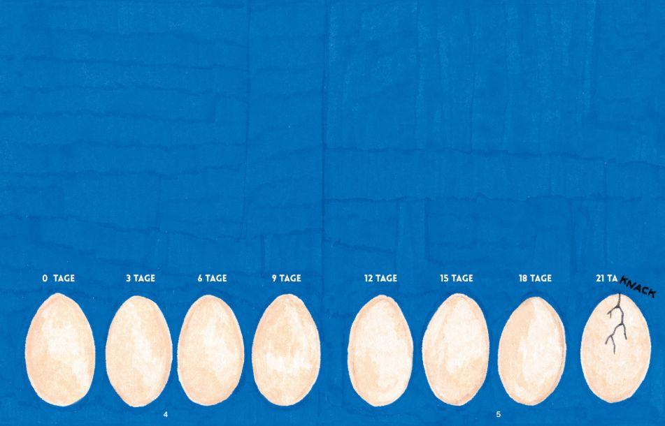 Beispielinhalt (Bild) Knack
