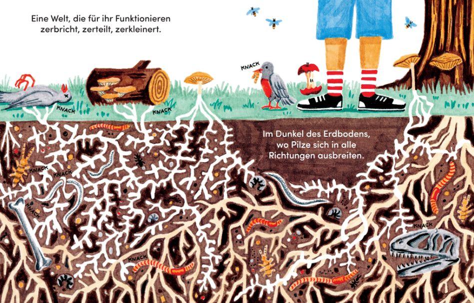 Beispielinhalt (Bild) Knack