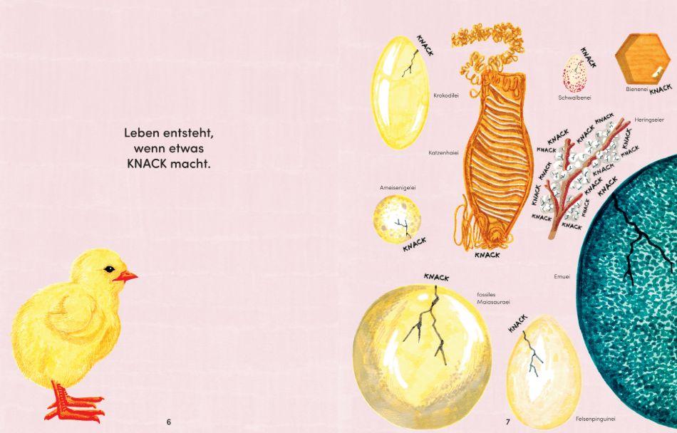 Beispielinhalt (Bild) Knack