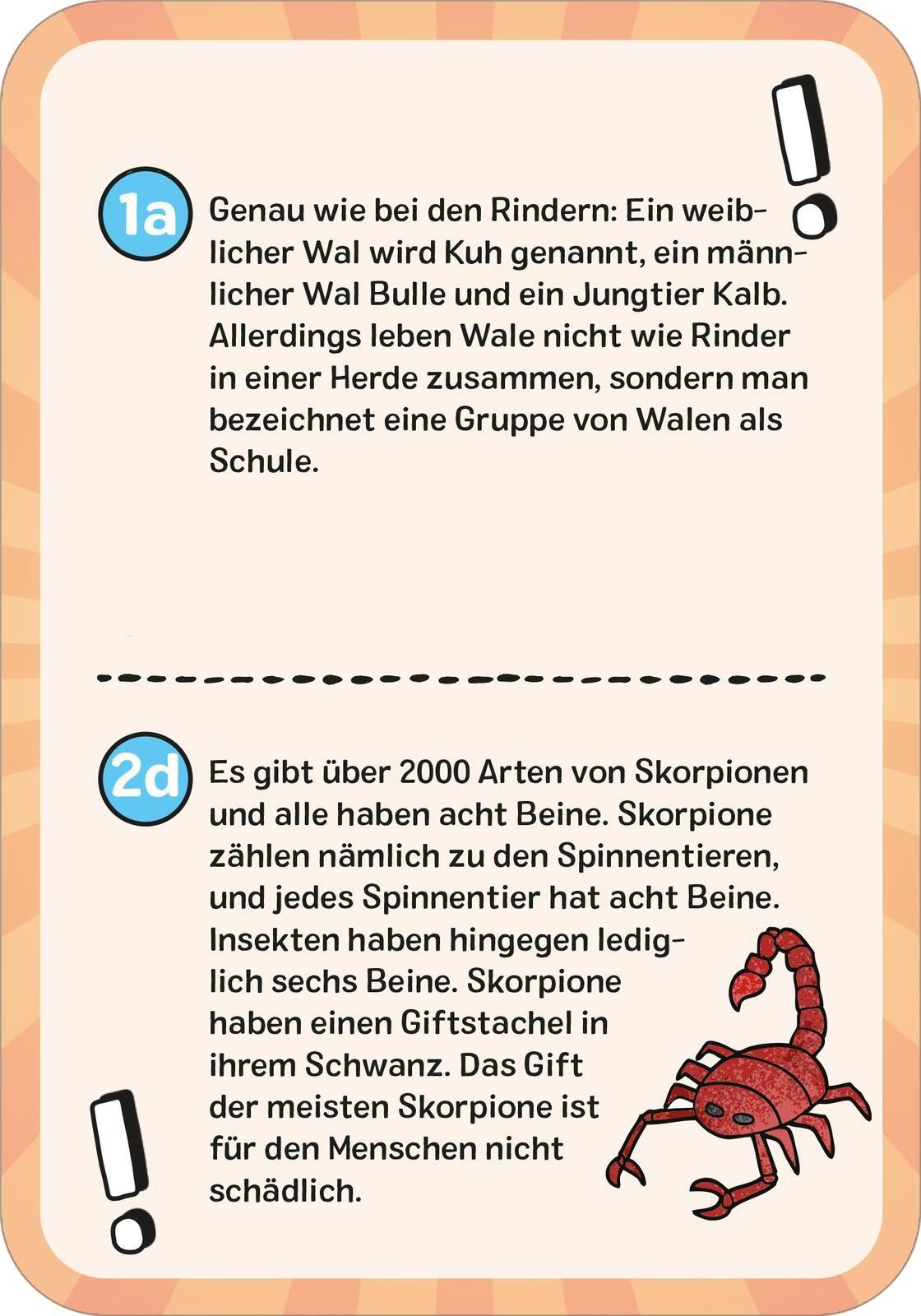 Beispielinhalt (Bild) Das wilde Tier-Quiz