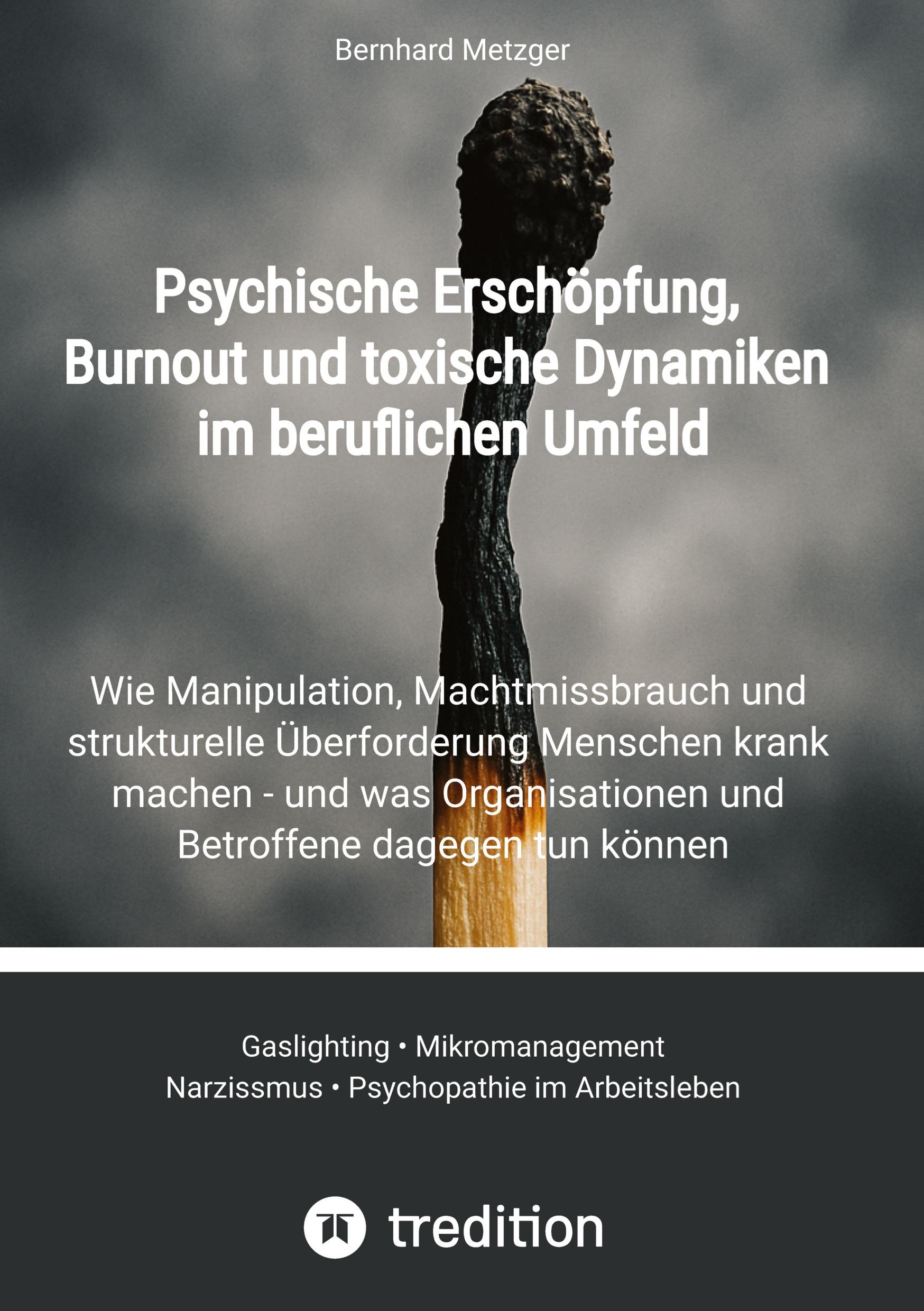 Vorderes Coverbild Psychische Erschöpfung, Burnout und toxische Dynamiken im beruflichen Umfeld