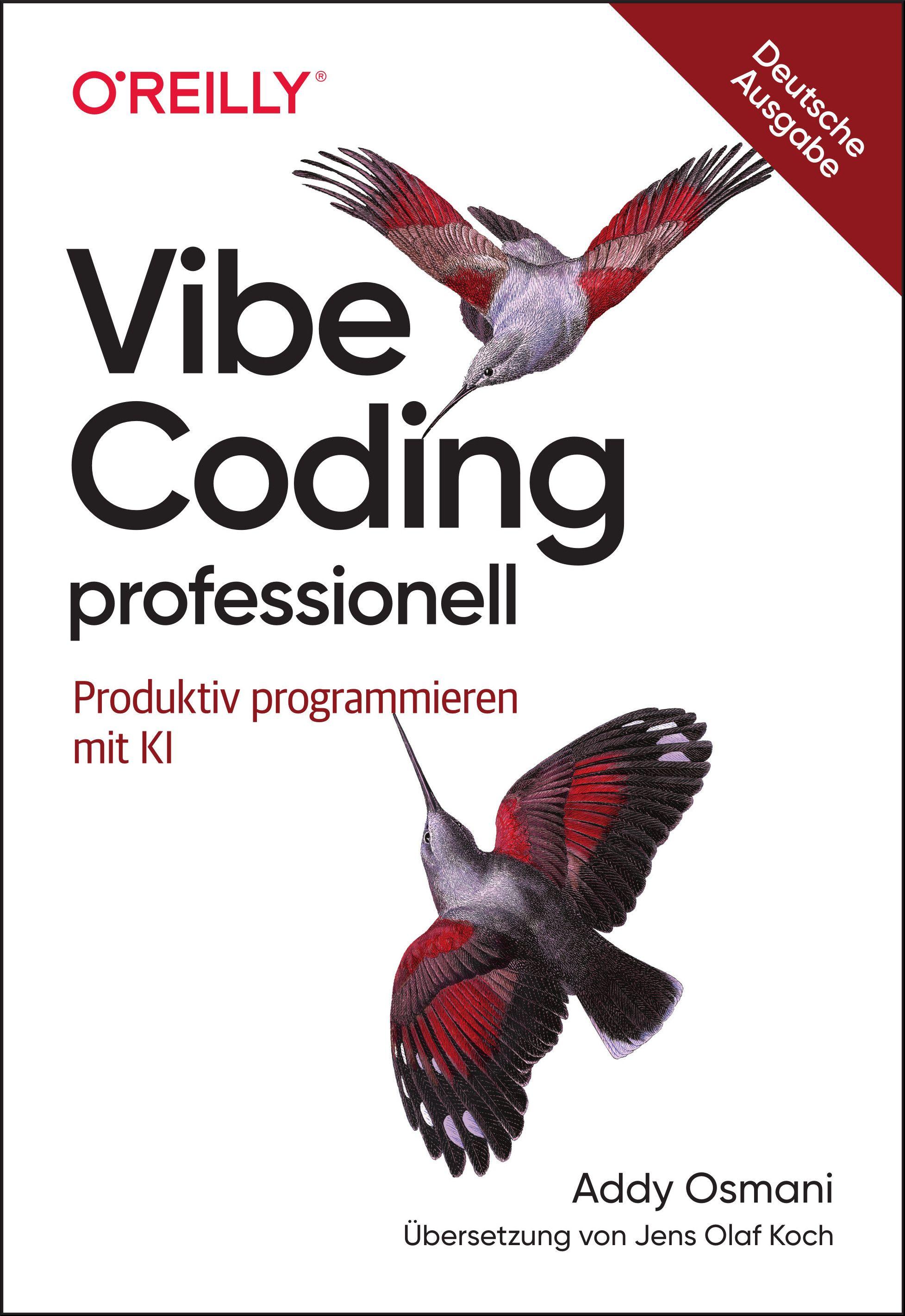 Vorderes Coverbild Vibe Coding professionell
