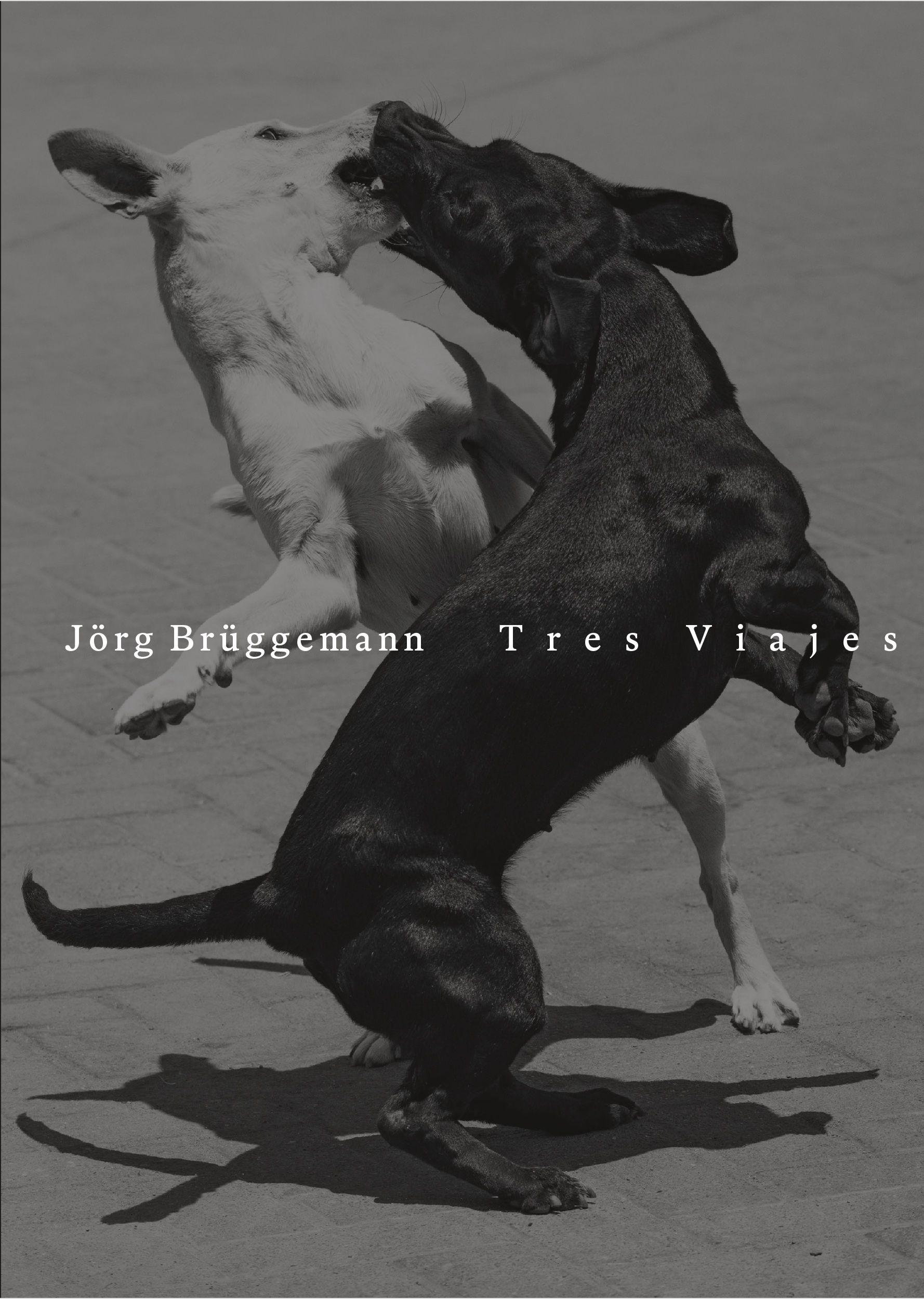 Vorderes Coverbild Jörg Brüggemann | Tres Viajes