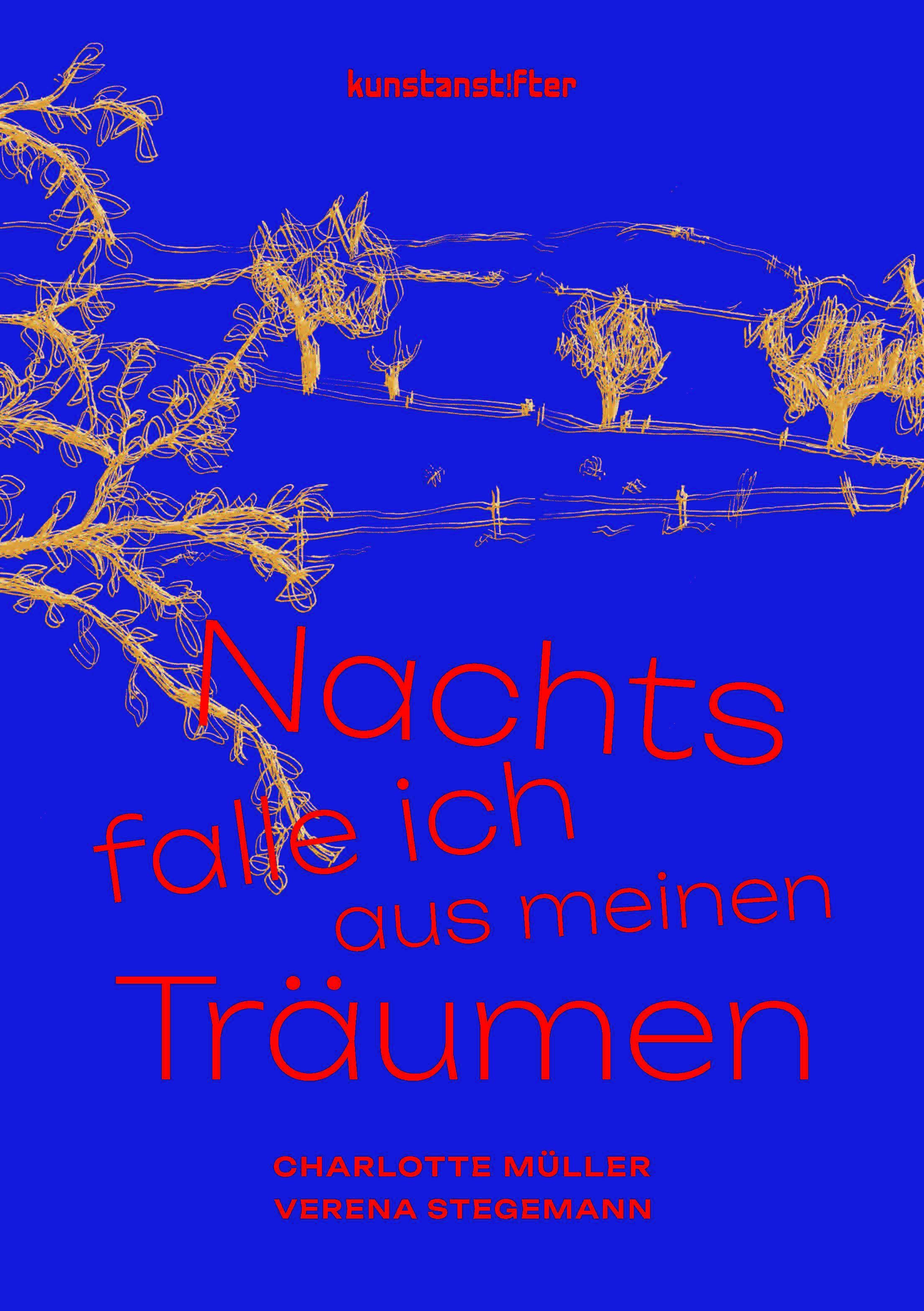Vorderes Coverbild Nachts falle ich aus meinen Träumen