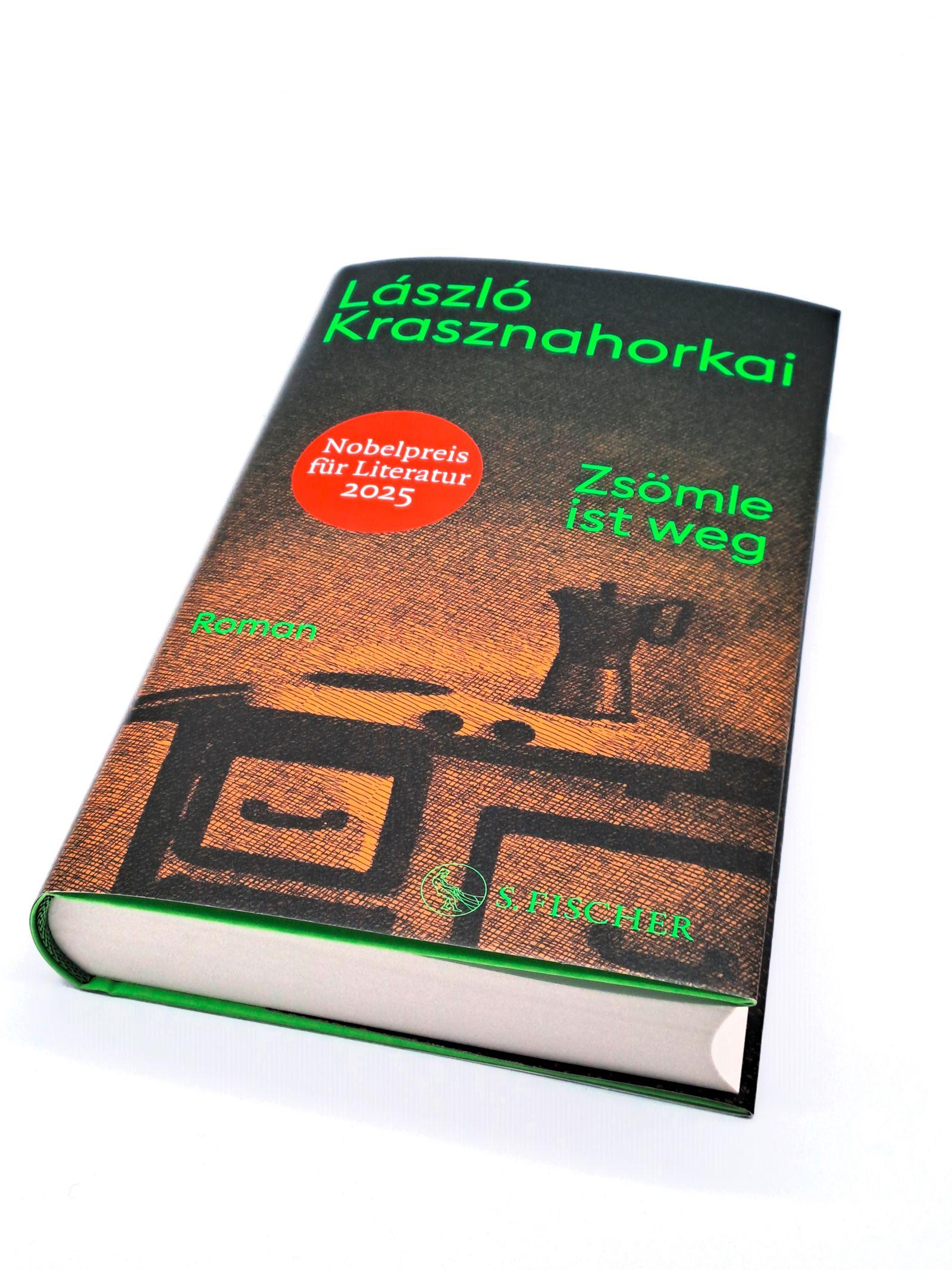 Beispielinhalt (Bild) Zsömle ist weg