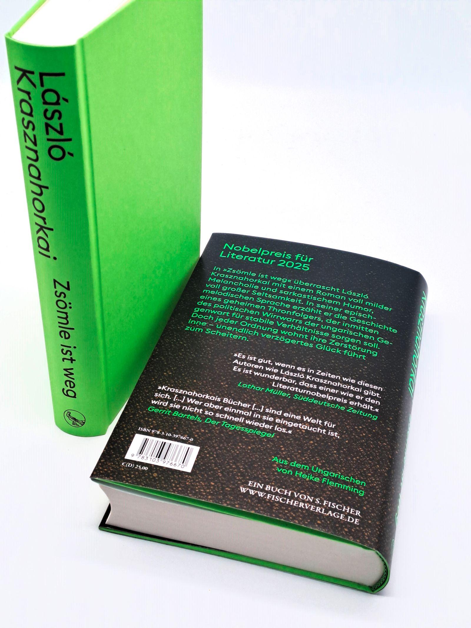 Beispielinhalt (Bild) Zsömle ist weg