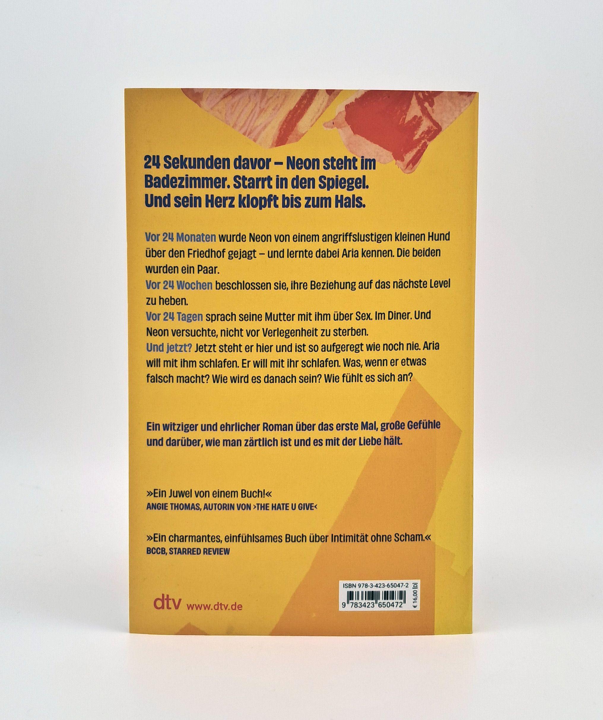 Beispielinhalt (Bild) 24 Sekunden ab jetzt