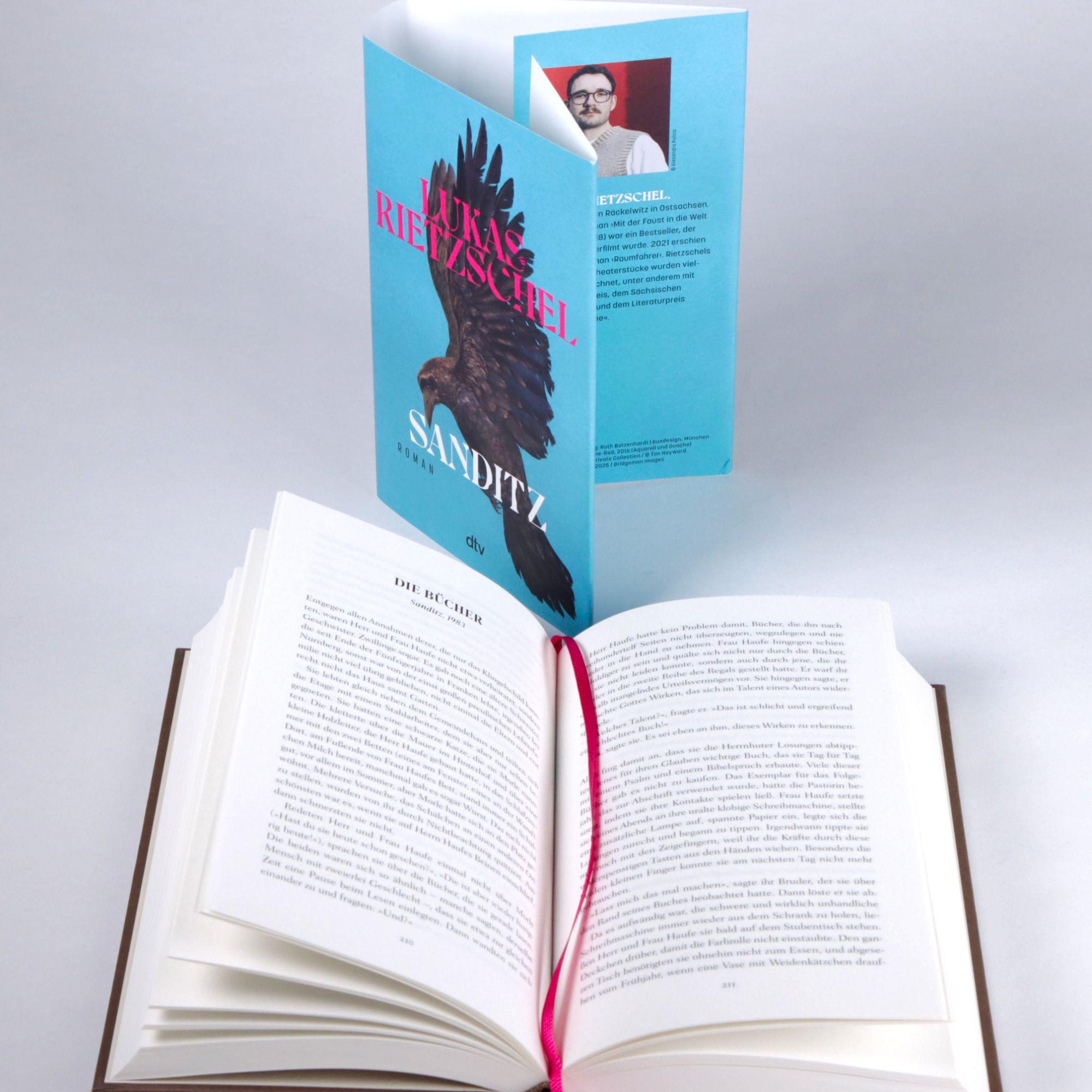 Beispielinhalt (Bild) Sanditz