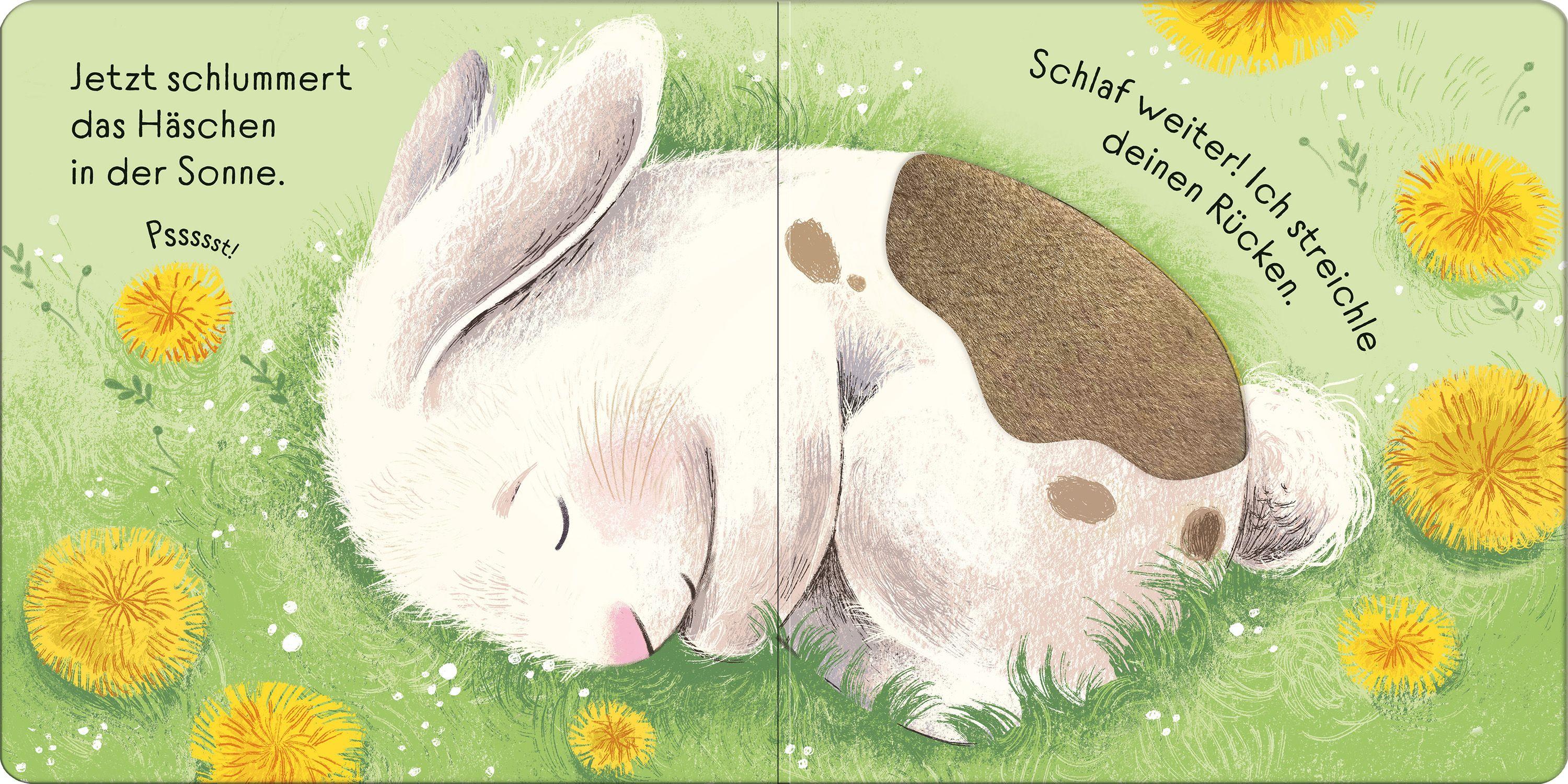 Beispielinhalt (Bild) Streichle das kleine Häschen