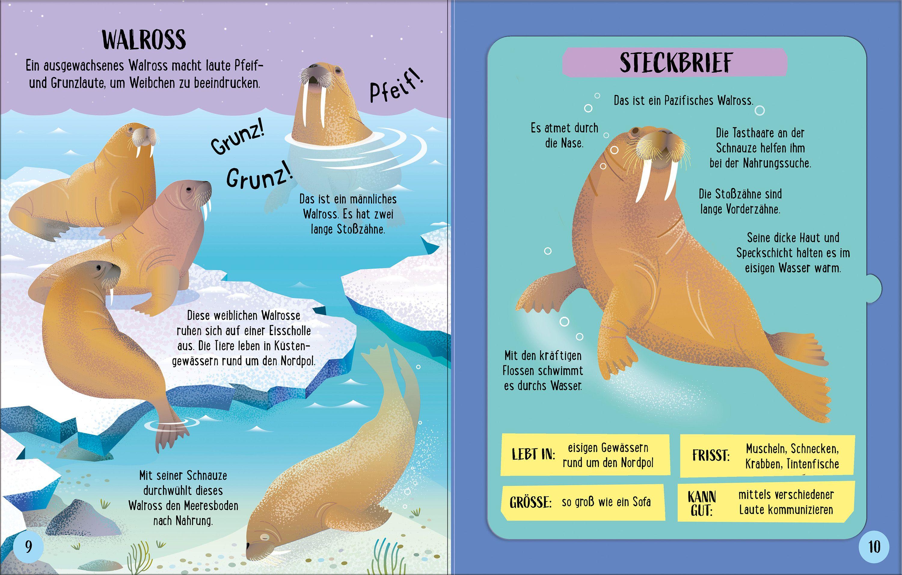 Beispielinhalt (Bild) Zusammenstecken und Entdecken: Meerestiere