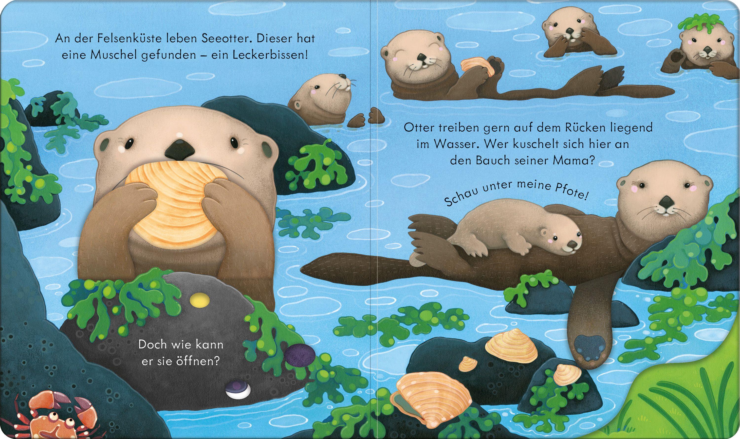 Beispielinhalt (Bild) Guck mal, wer da ist! An der Küste