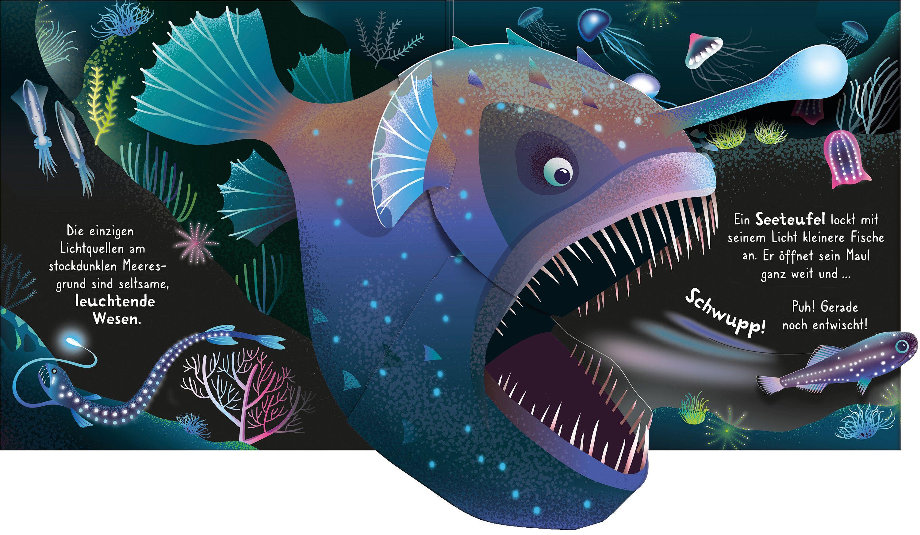 Beispielinhalt (Bild) Mein erstes Pop-up-Buch: Im Ozean