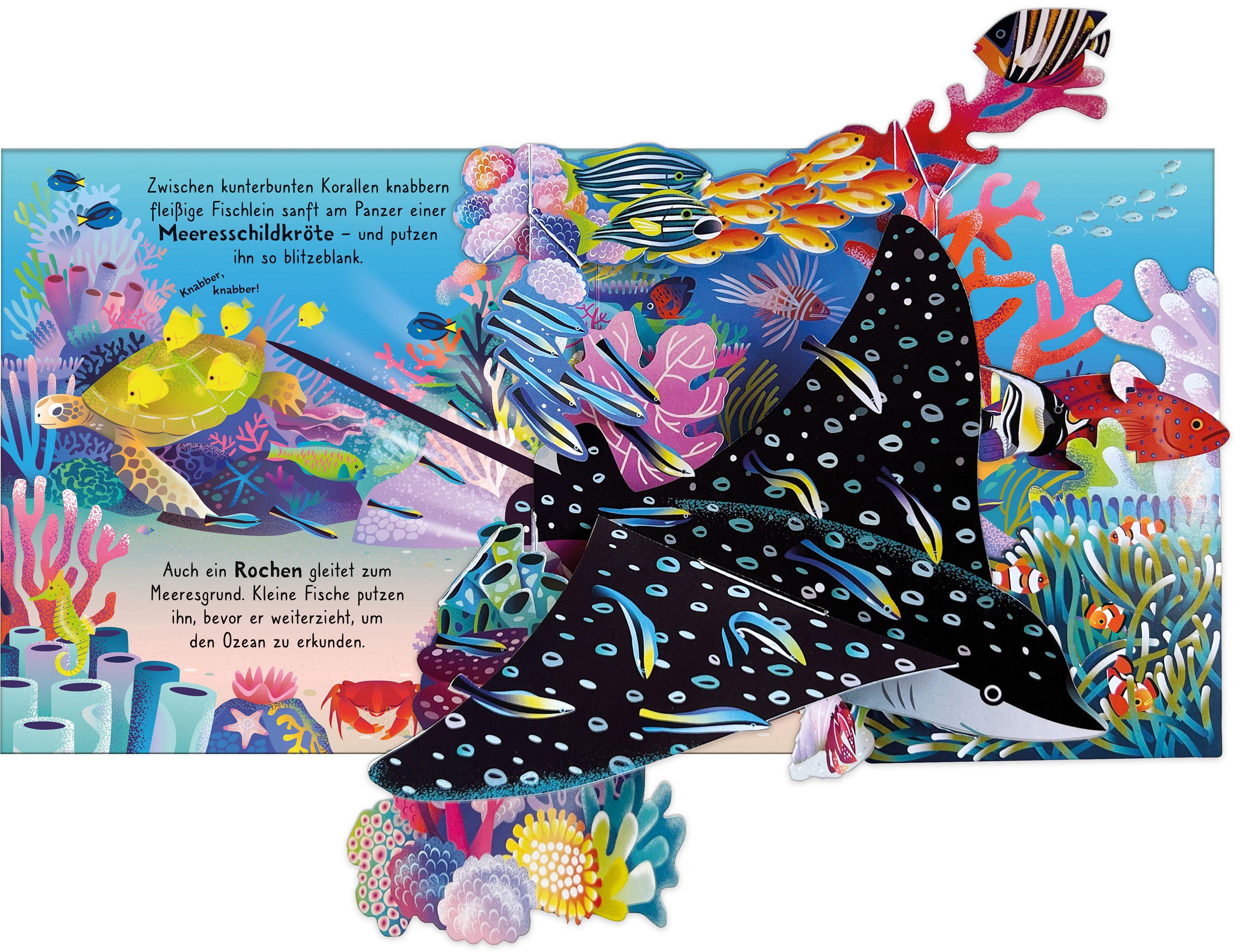 Beispielinhalt (Bild) Mein erstes Pop-up-Buch: Im Ozean